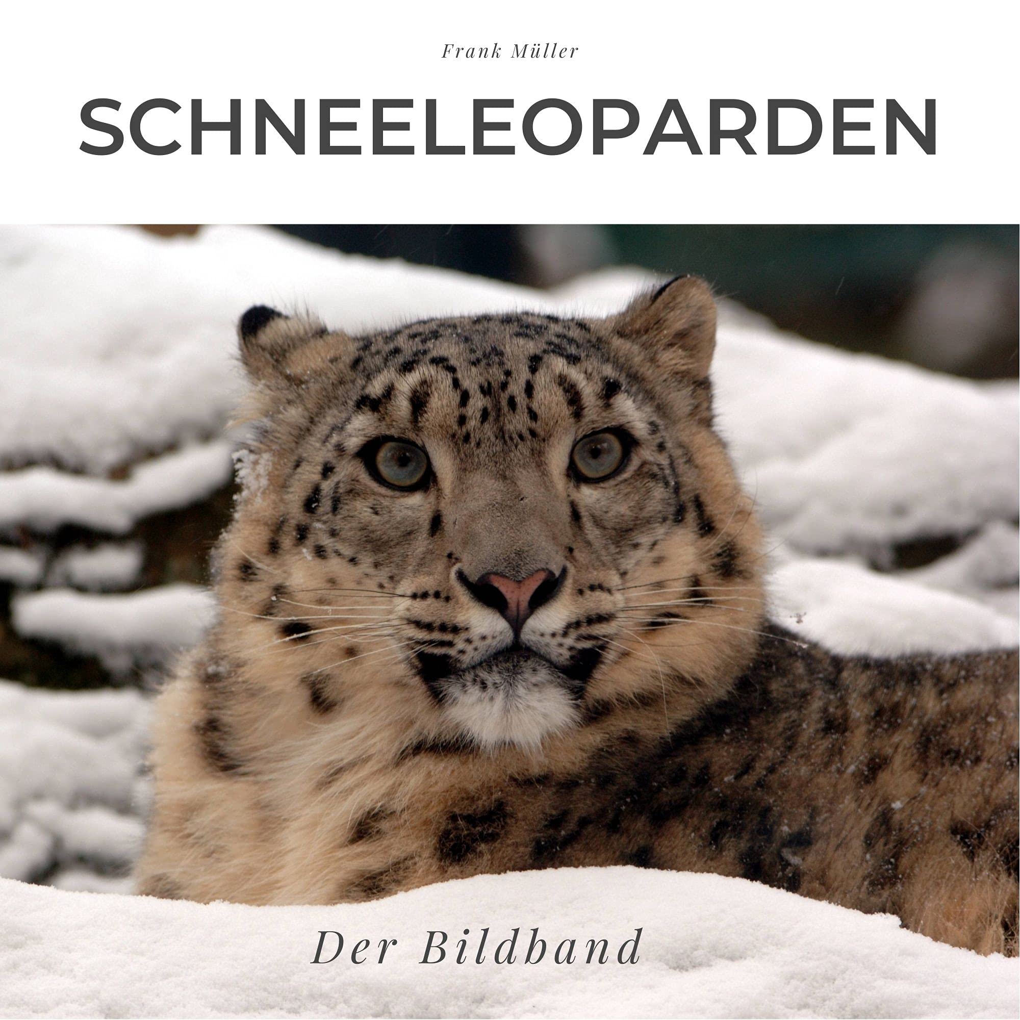 Product Image: Schneeleoparden: Der Bildband