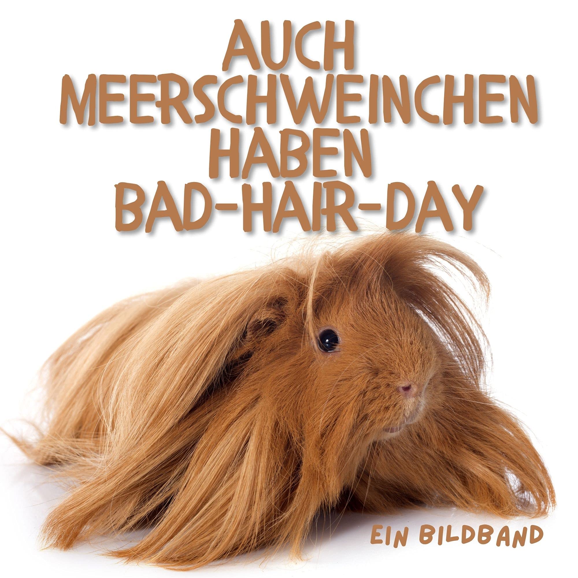 Auch Meerschweinchen haben Bad-Hair-Day: Ein Bildband Photography
