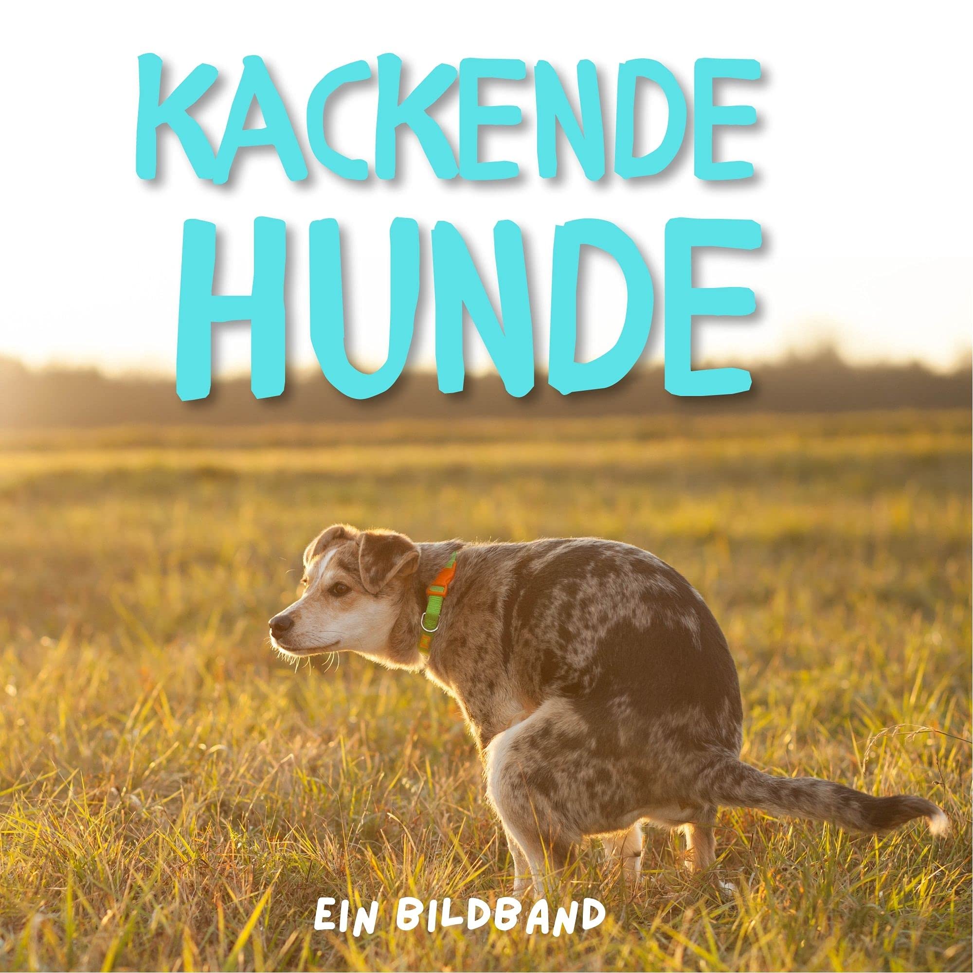 Product Image: Kackende Hunde: Ein Bildband