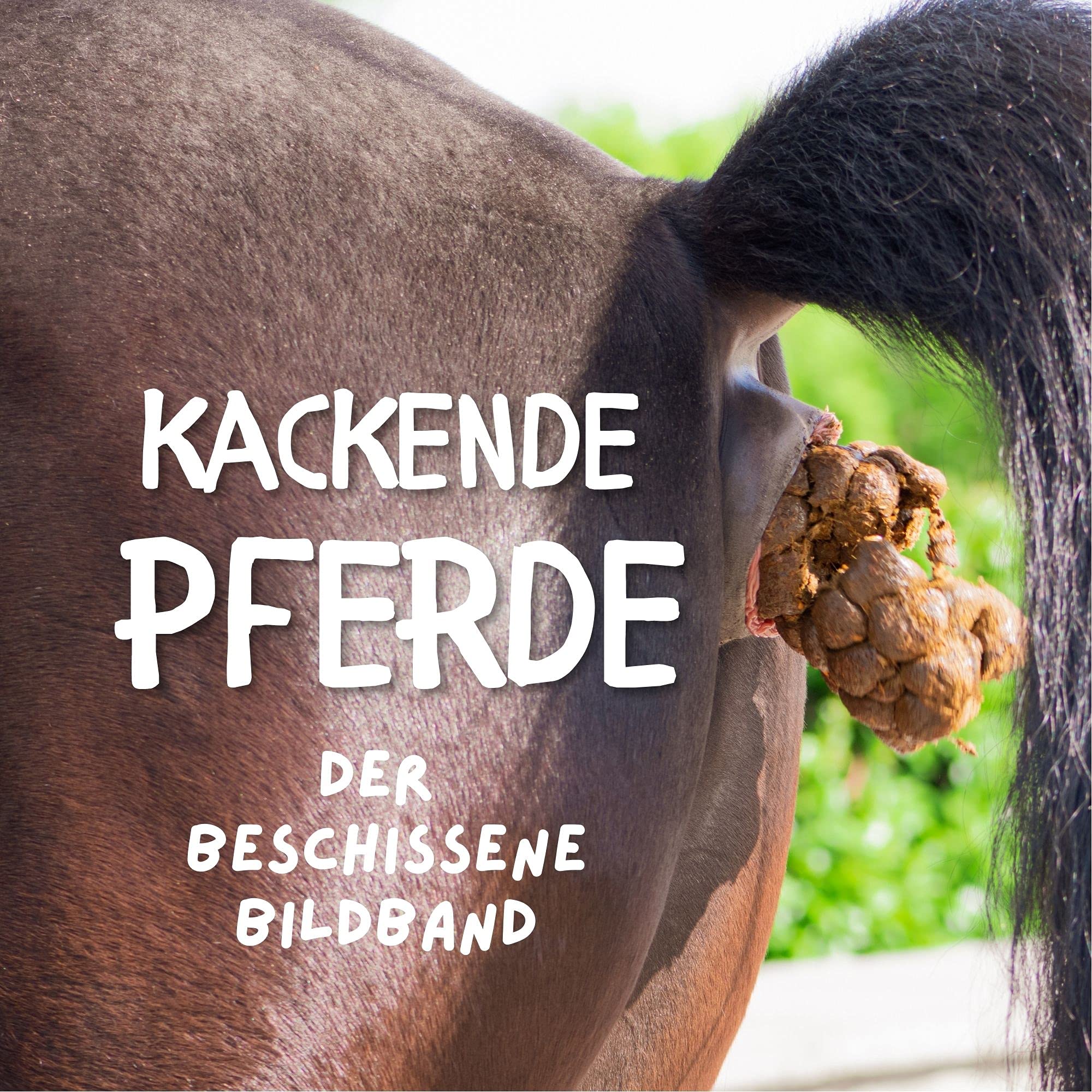 Kackende Pferde: Der beschissene Bildband Memories