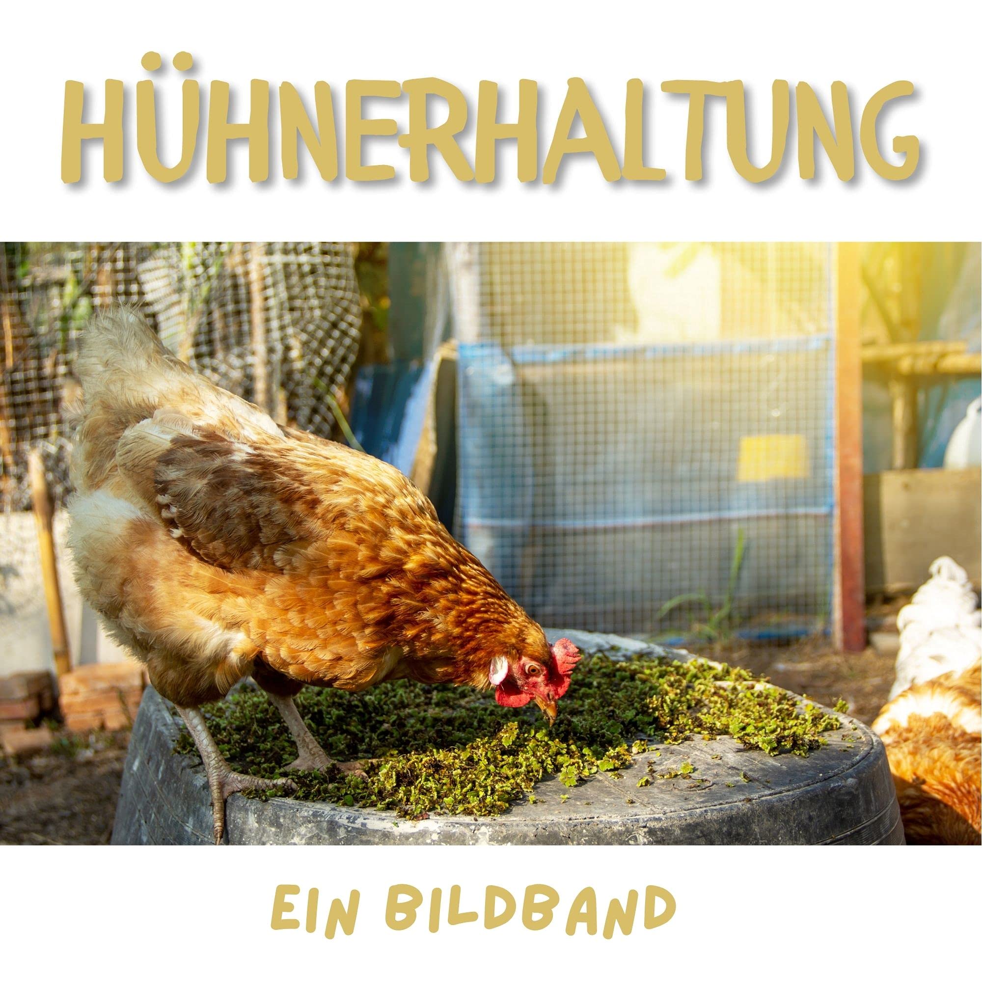 Product Image: Hühnerhaltung: Ein Bildband