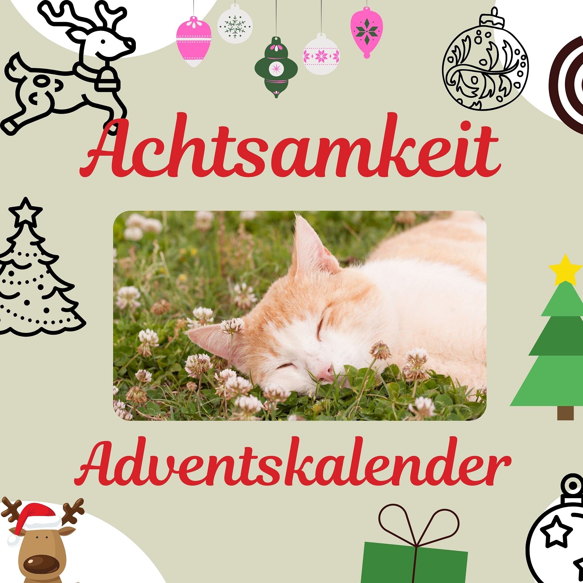 Product Image: Achtsamkeit Adventskalender