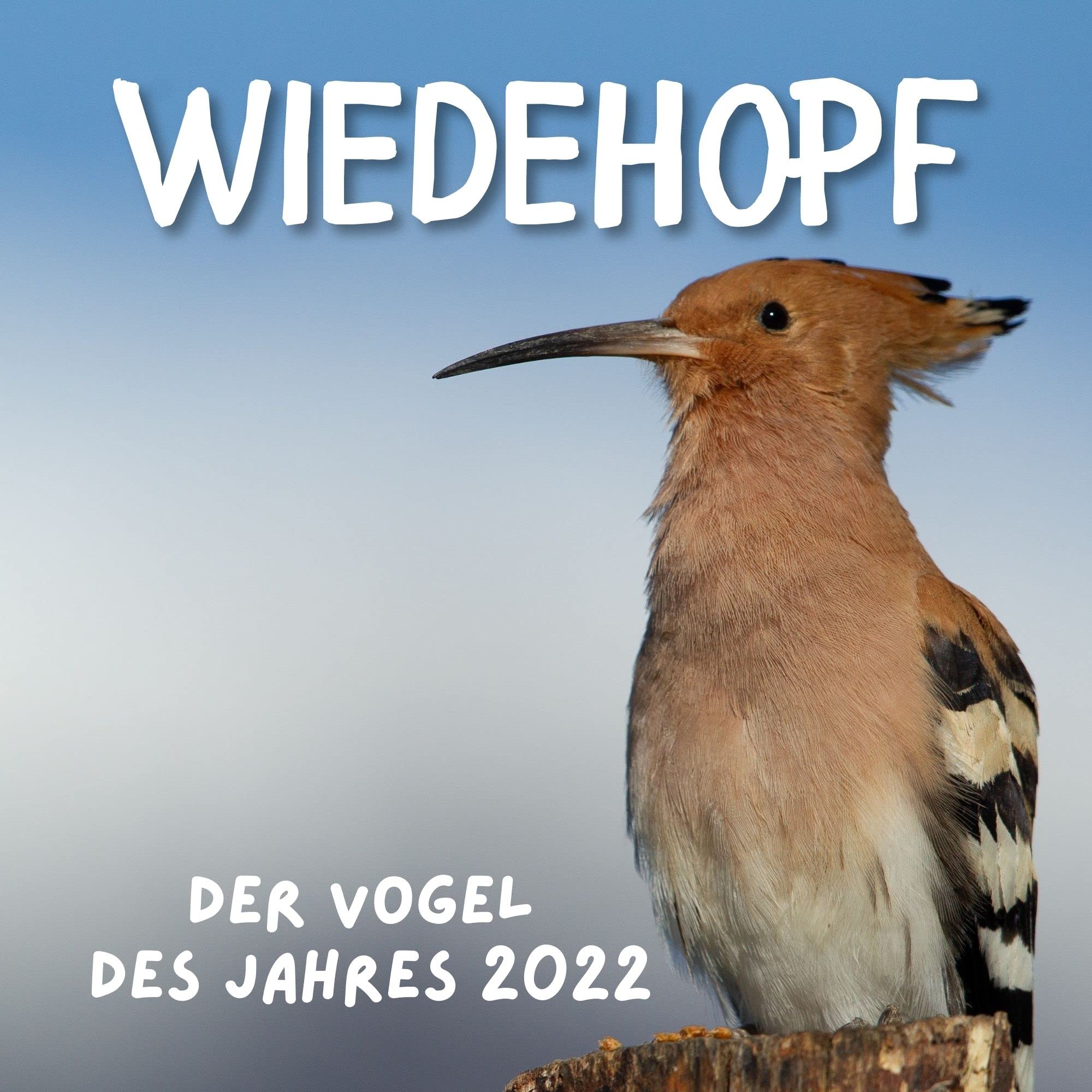 Wiedehopf: Der Vogel des Jahres 2022 Photography