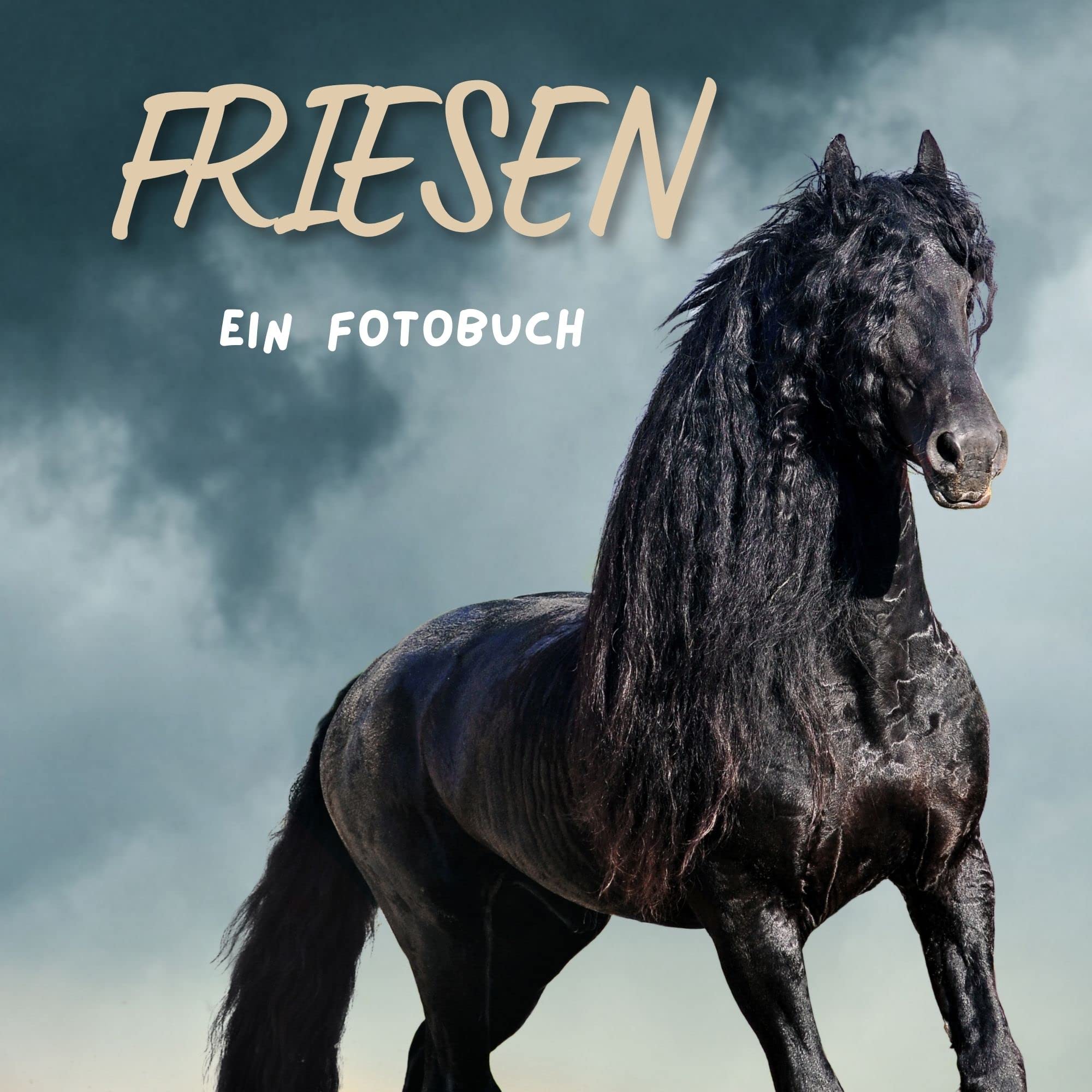 Friesen: Ein Fotobuch Photography