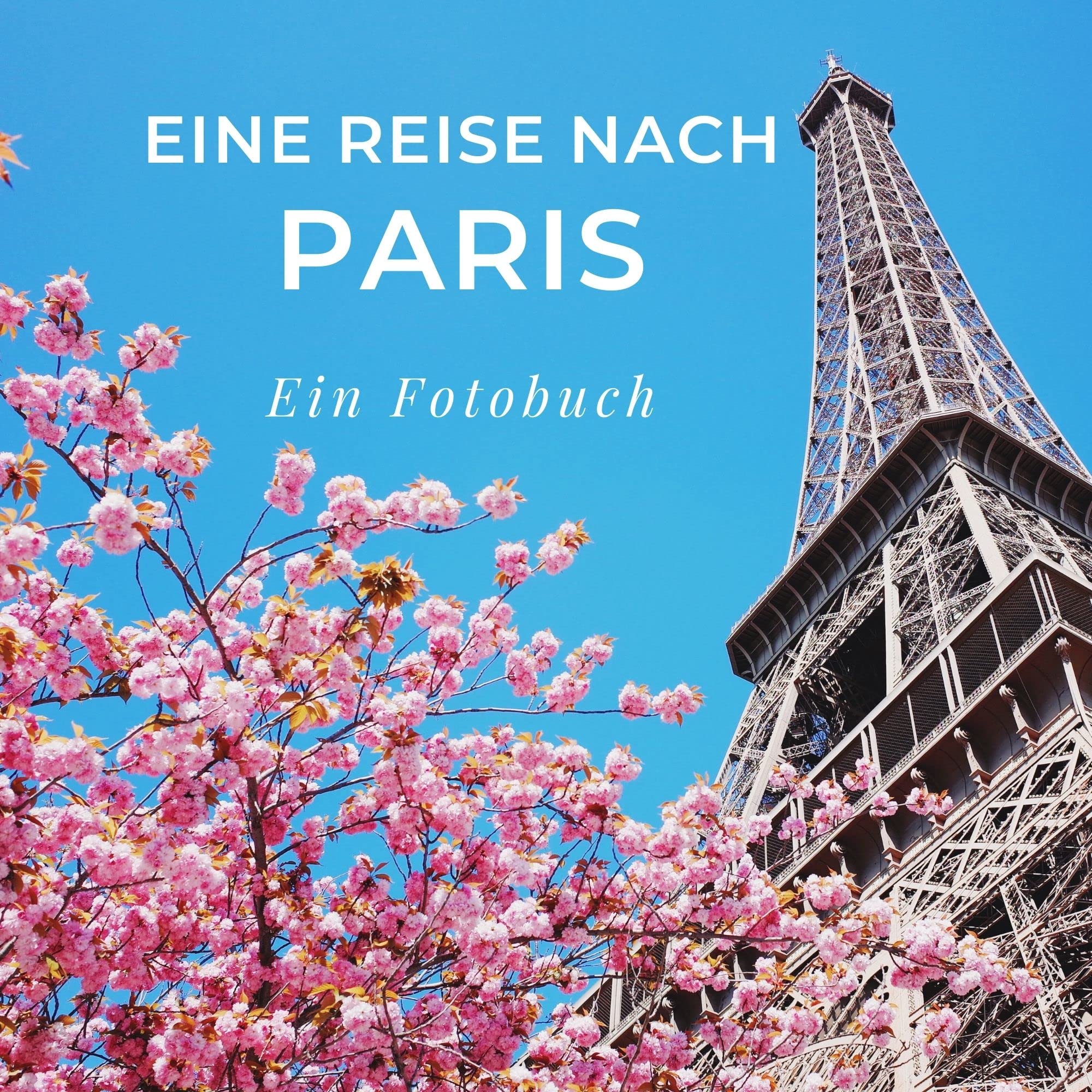 Eine Reise nach Paris: Ein Fotobuch Photography