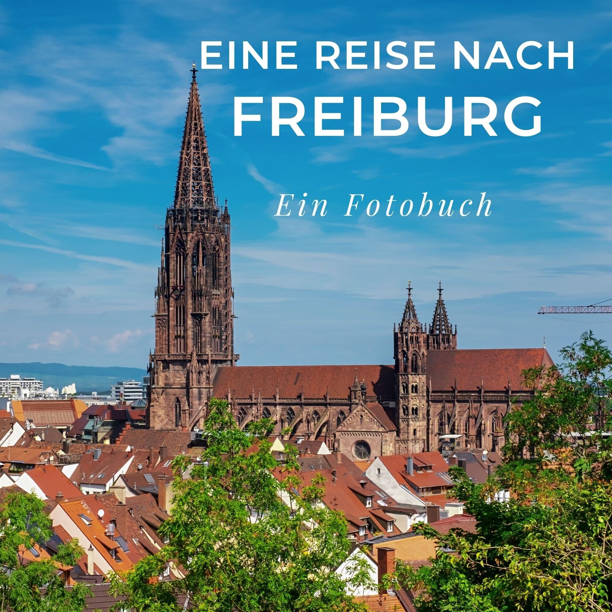 Eine Reise nach Freiburg: Ein Fotobuch Photography