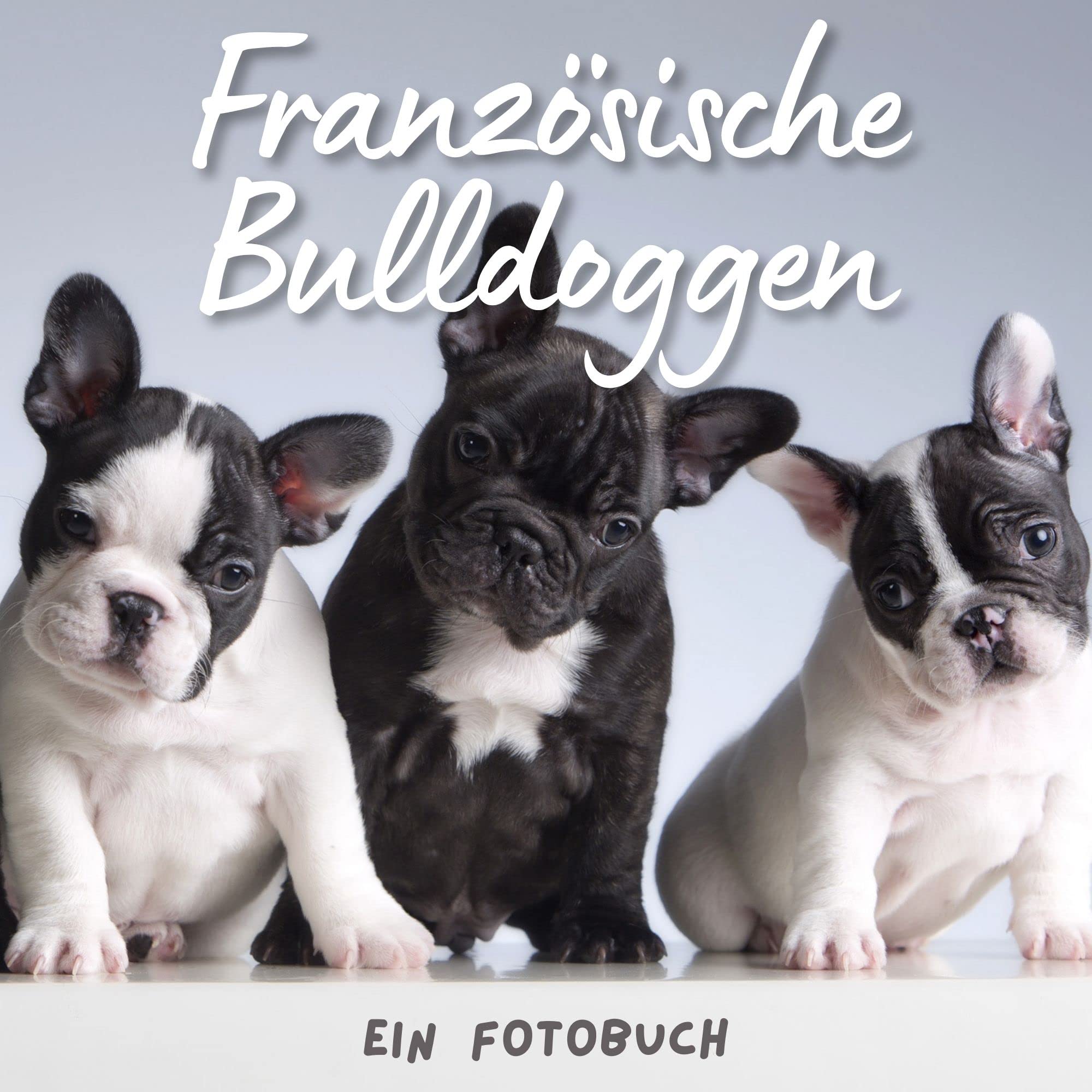 Französische Bulldoggen: Ein Fotobuch Photography