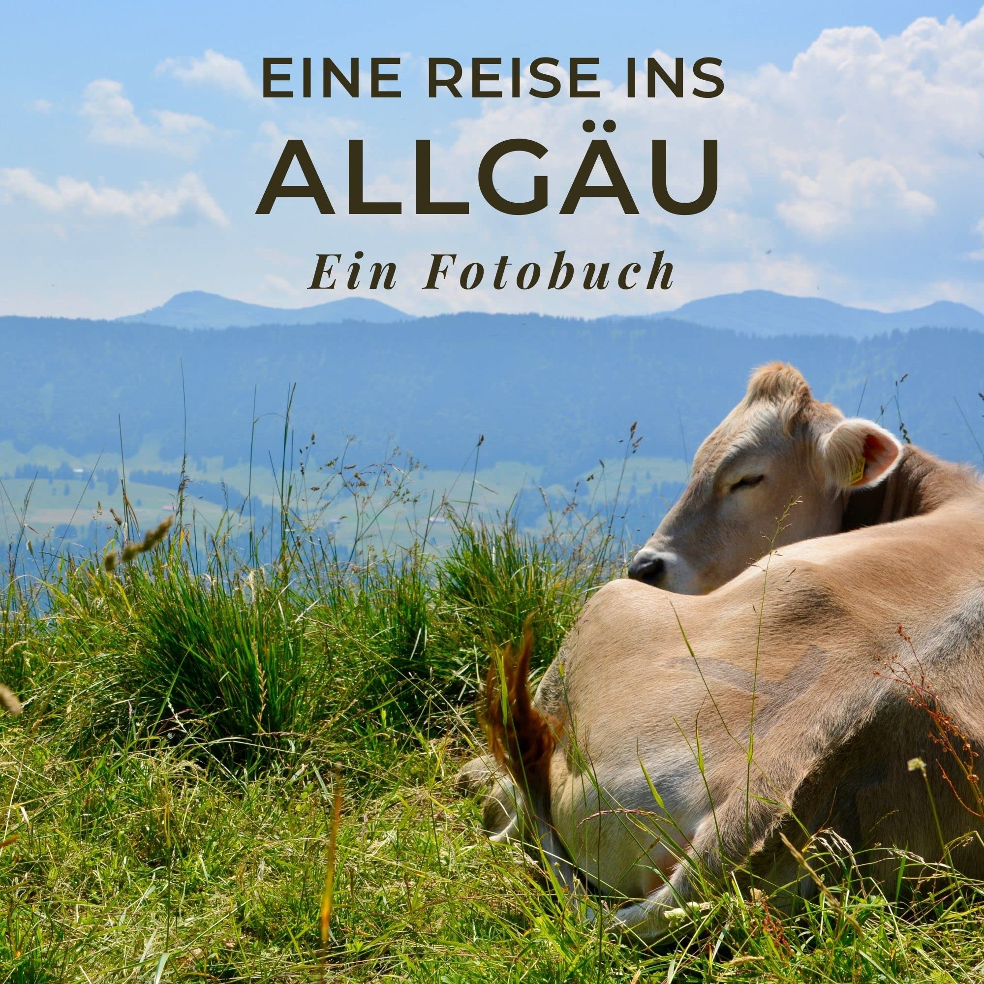 Eine Reise ins Allgäu: Ein Fotobuch. Ein reiner Bildband statt Reiseführer aber auch als Souvenir oder Mitbringsel nach dem Urlaub geeignet. Photography