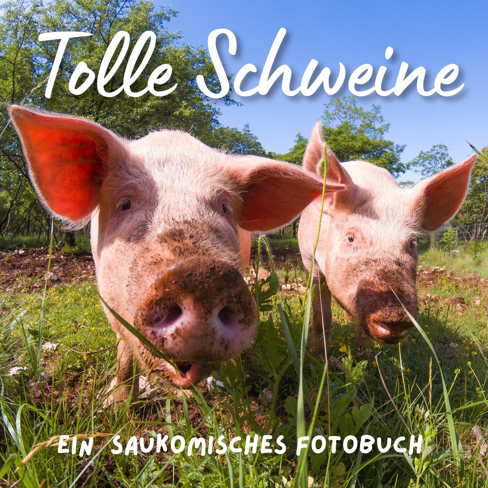 Tolle Schweine: Ein saukomisches Fotobuch. Das perfekte Geschenk für Bauern, Männer oder Frauen für Weihnachten und zum Geburtstag Photography