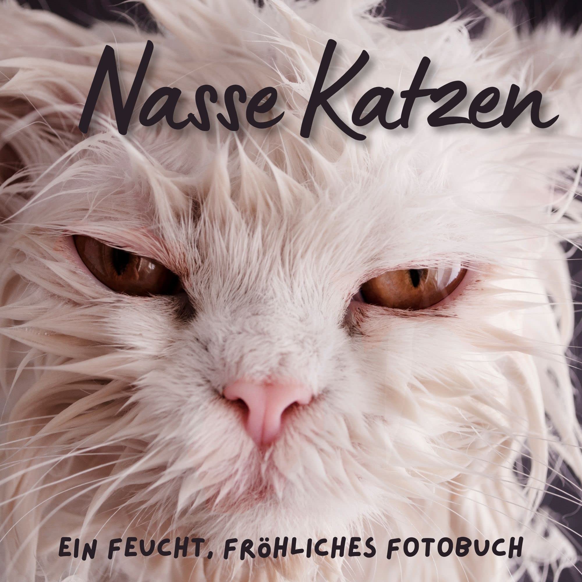 Nasse Katzen: Ein feucht, fröhliches Fotobuch Photography
