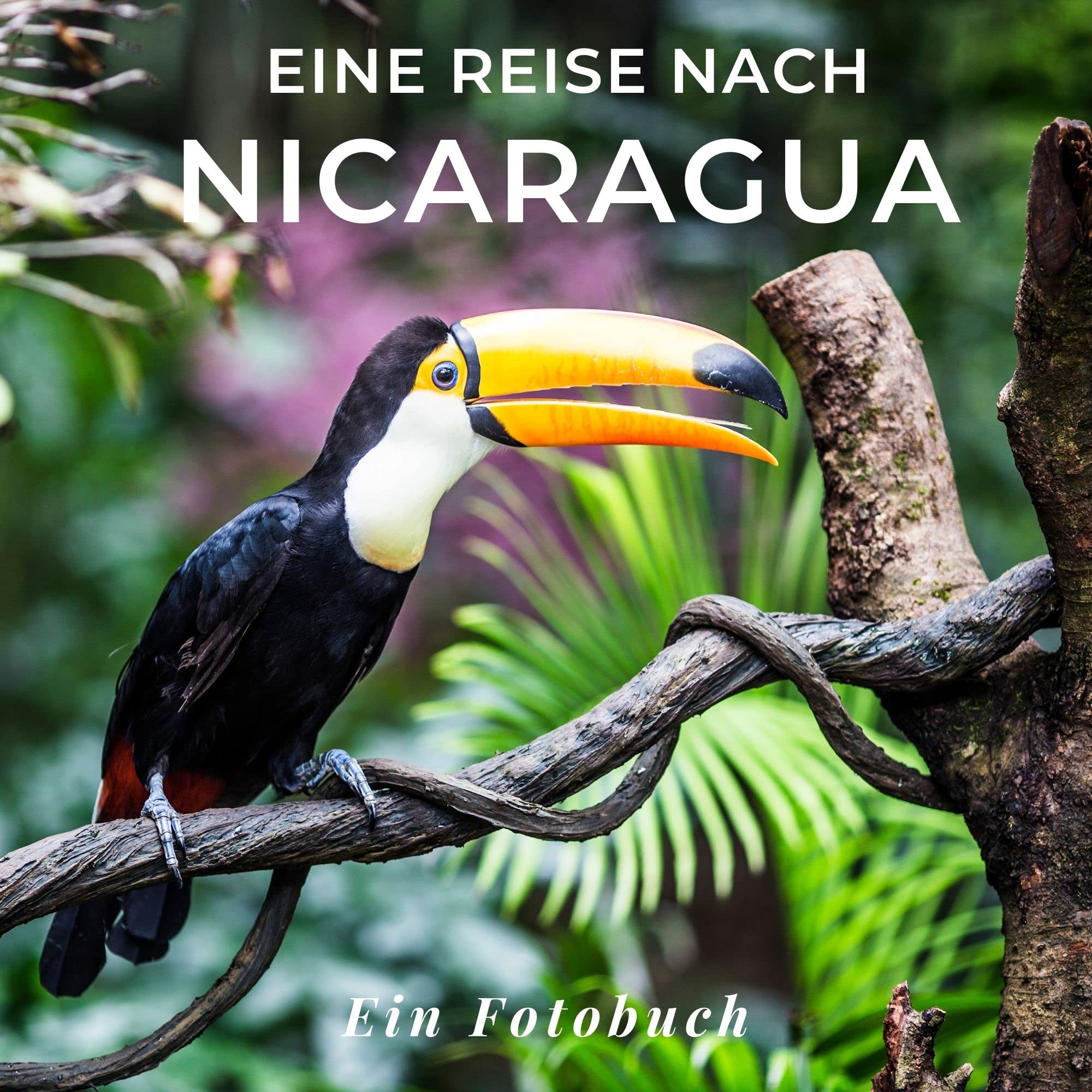 Eine Reise nach Nicaragua: Ein Fotobuch. Das perfekte Souvenir & Mitbringsel nach oder vor dem Urlaub. Statt Reiseführer, lieber diesen einzigartigen Bildband book