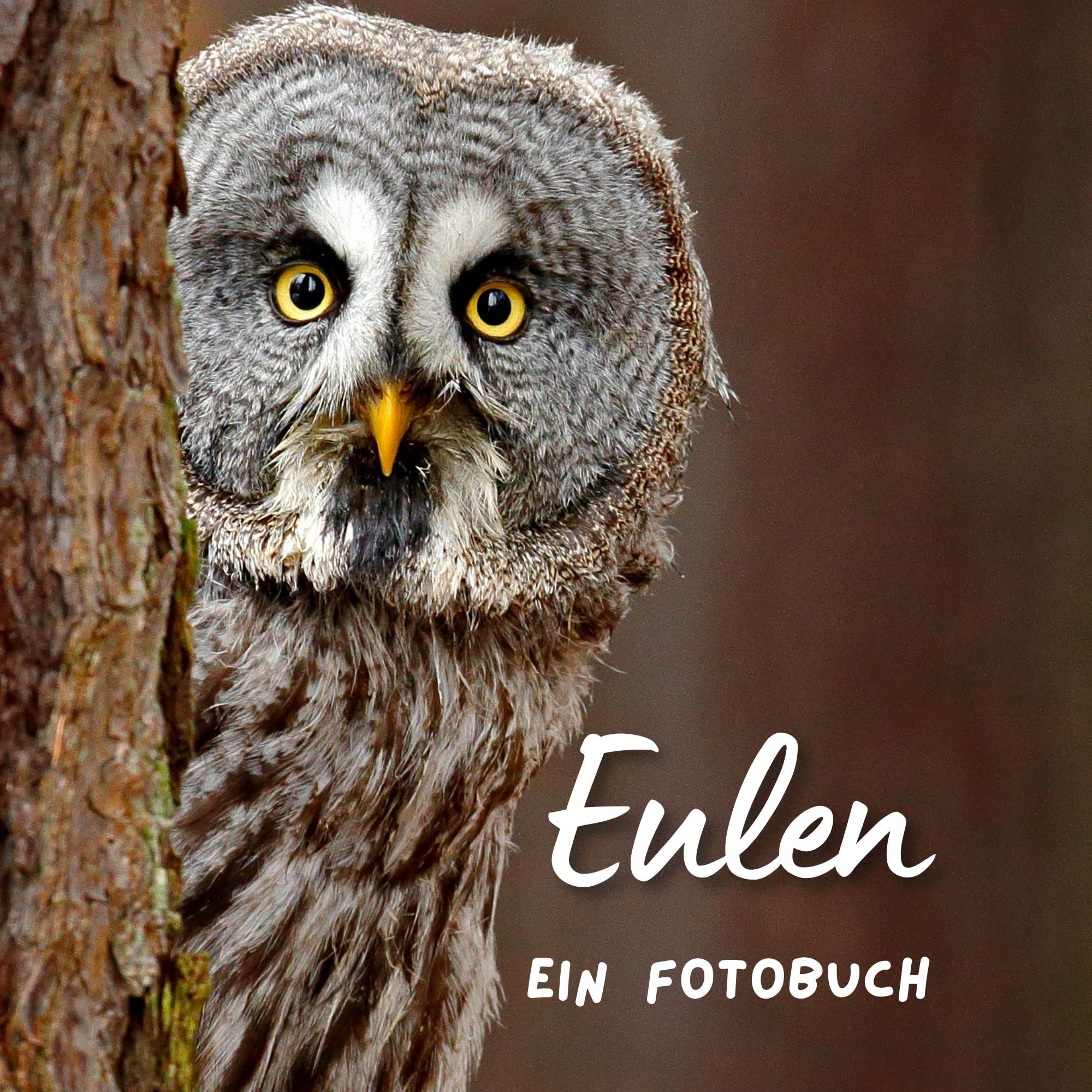 Product Image: Eulen: Ein Fotobuch. Das perfekte Geschenk