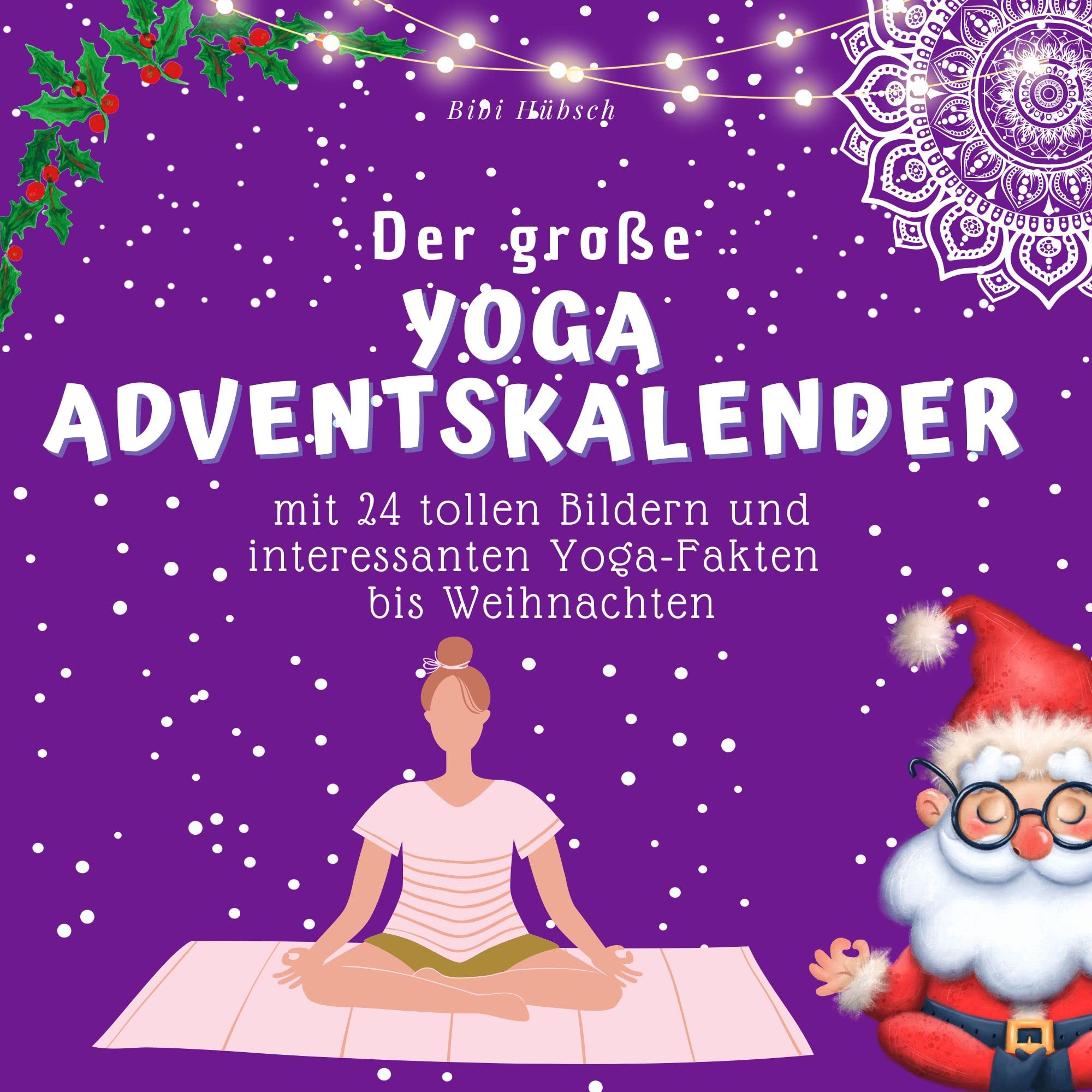 Der grosse Yoga-Adventskalender: mit 24 Bildern und interessanten Yoga-Fakten bis Weihnachten book