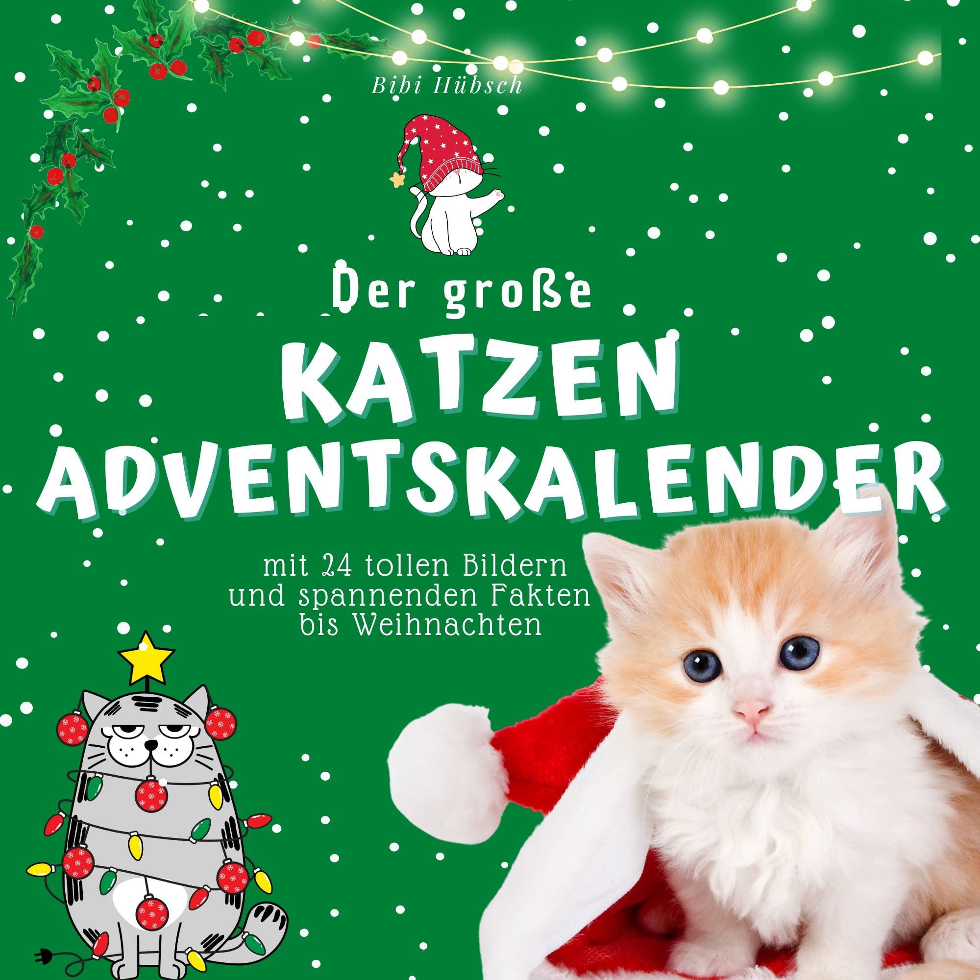 Der grosse Katzen-Adventskalender: mit 24 tollen Bildern und spannenden Fakten bis Weihnachten book