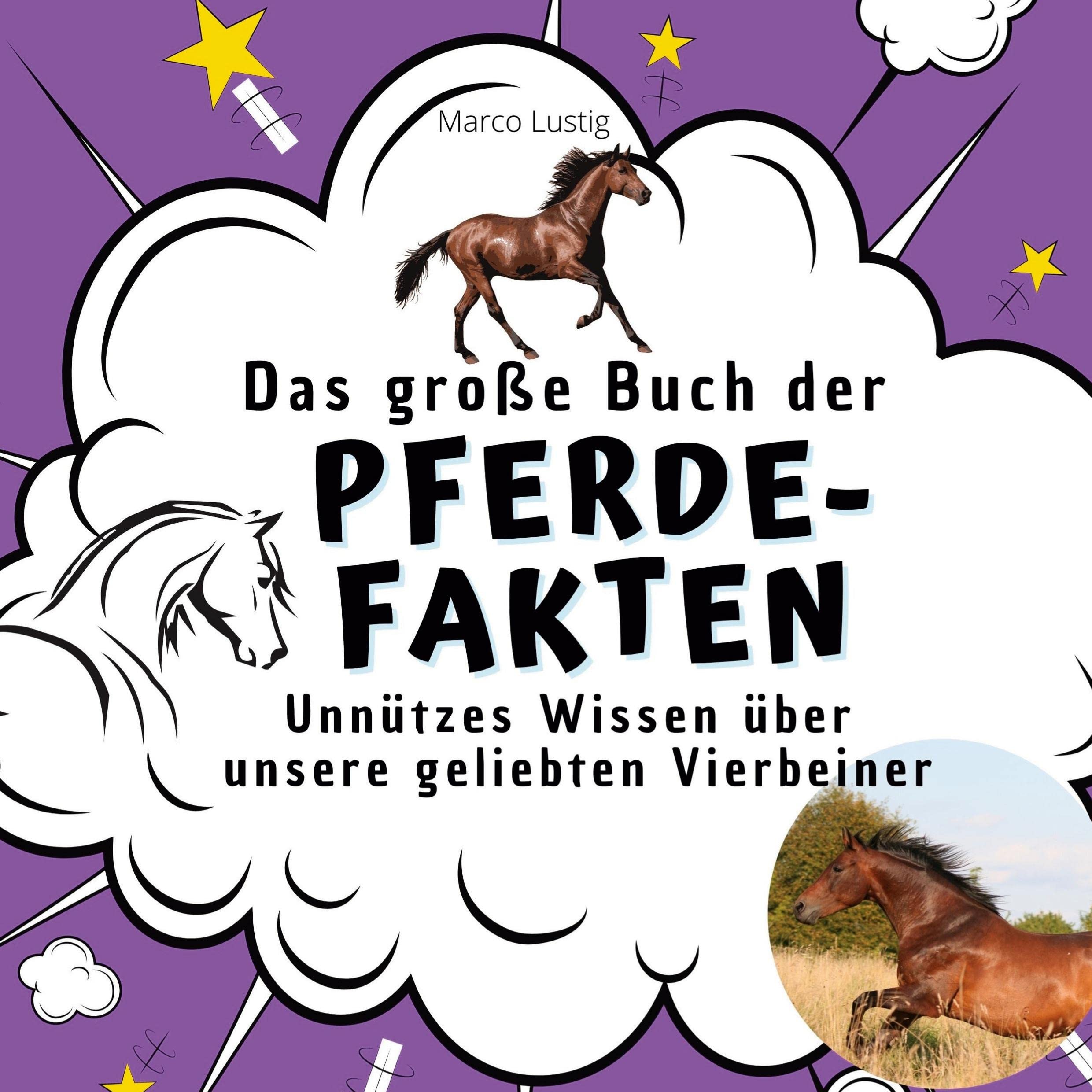 Das große Buch der Pferde-Fakten: Unnützes Wissen über unsere geliebten Vierbeiner Film, Art & Culture