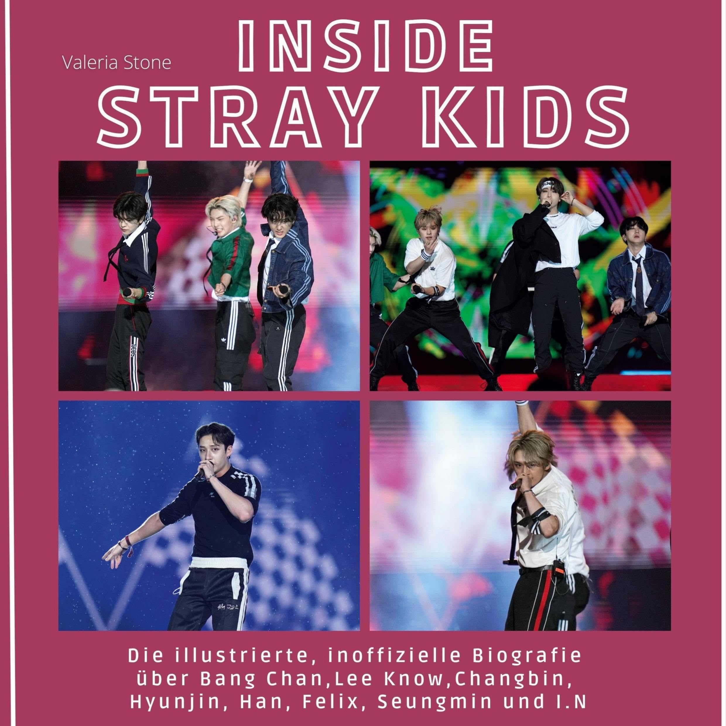 Inside Stray Kids: Die illustrierte, inoffizielle Biografie über Bang Chan, Lee Know, Changbin, Hyunjin, Han, Felix, Seungmin und I.N Film, Art & Culture