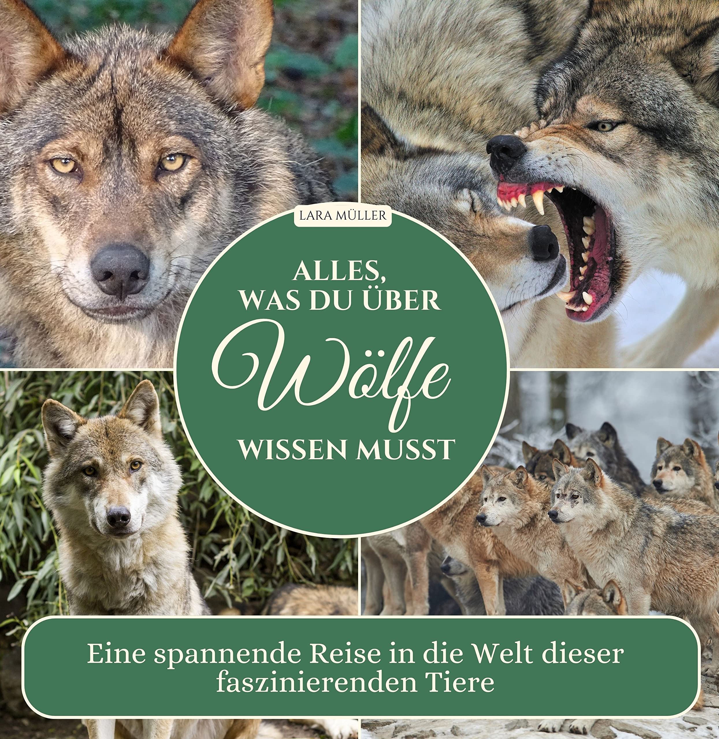 Alles, was du über Wölfe wissen musst: Eine spannende Reise in die Welt dieser faszinierenden Tiere Photography