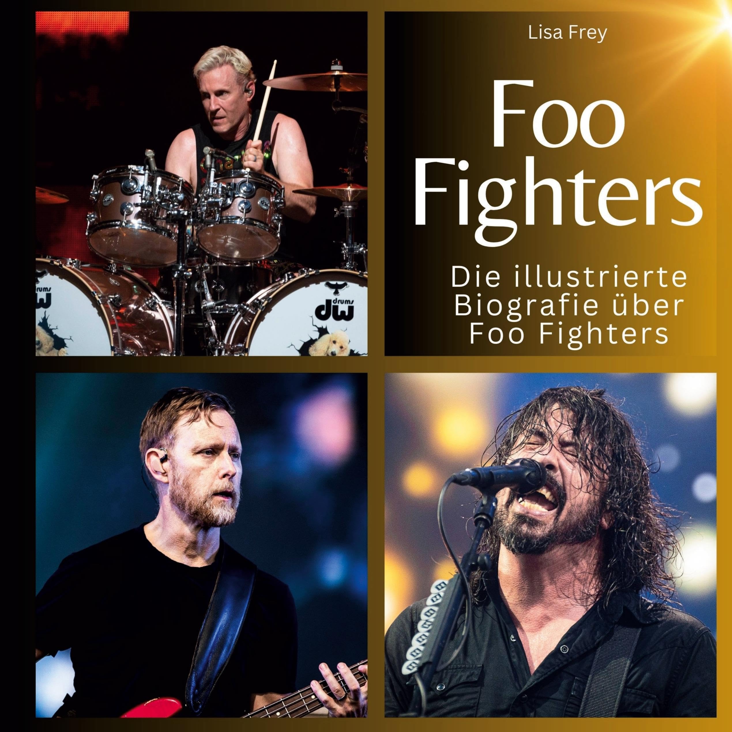 Foo Fighters Film, Art & Culture