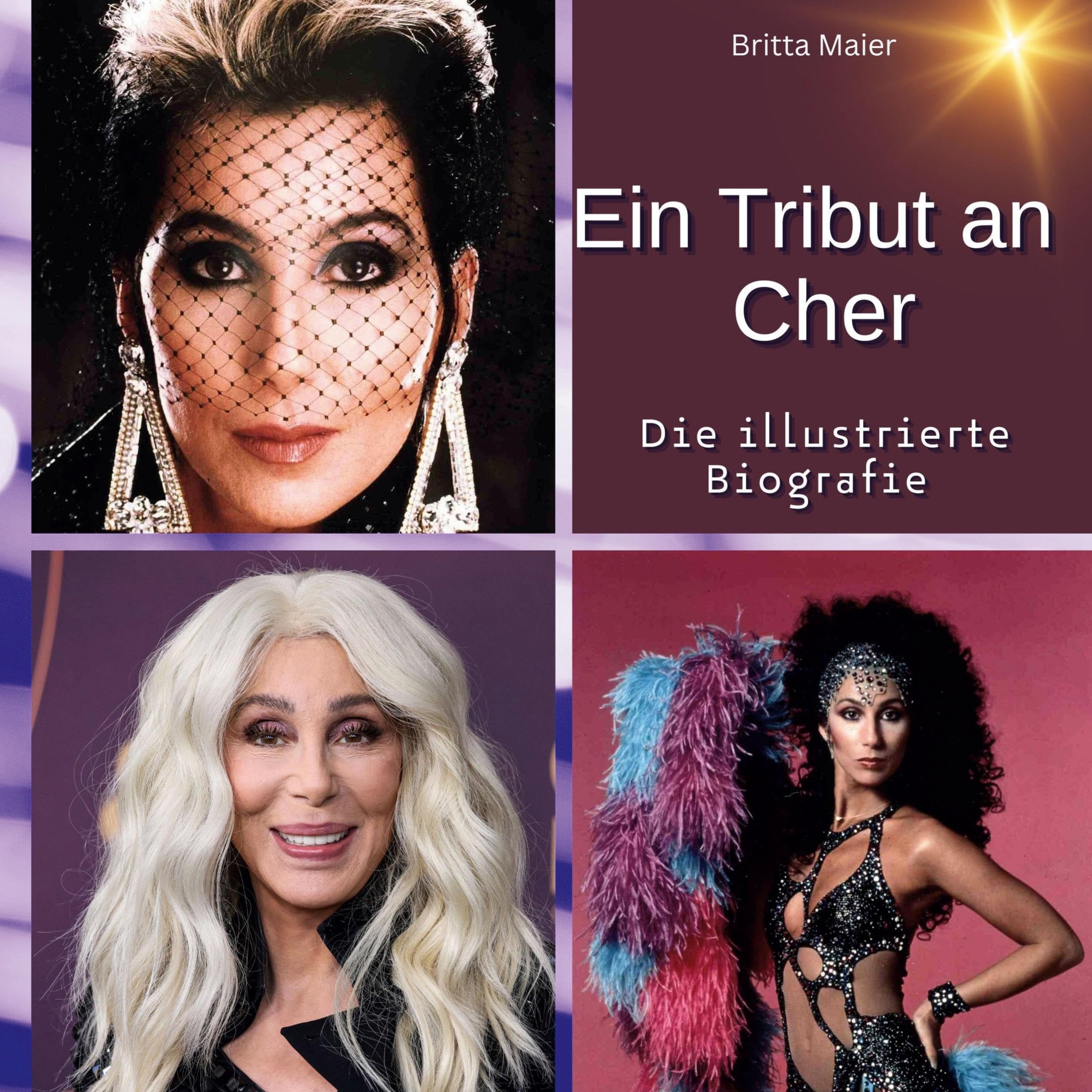 Ein Tribut an Cher: Die illustrierte Biografie Film, Art & Culture