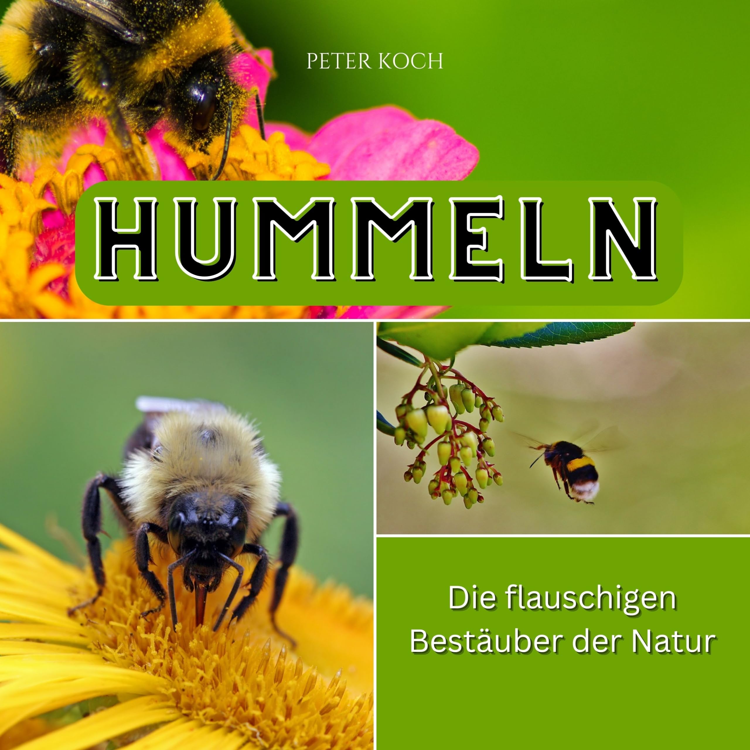 Hummeln: Die flauschigen Bestäuber der Natur Memories