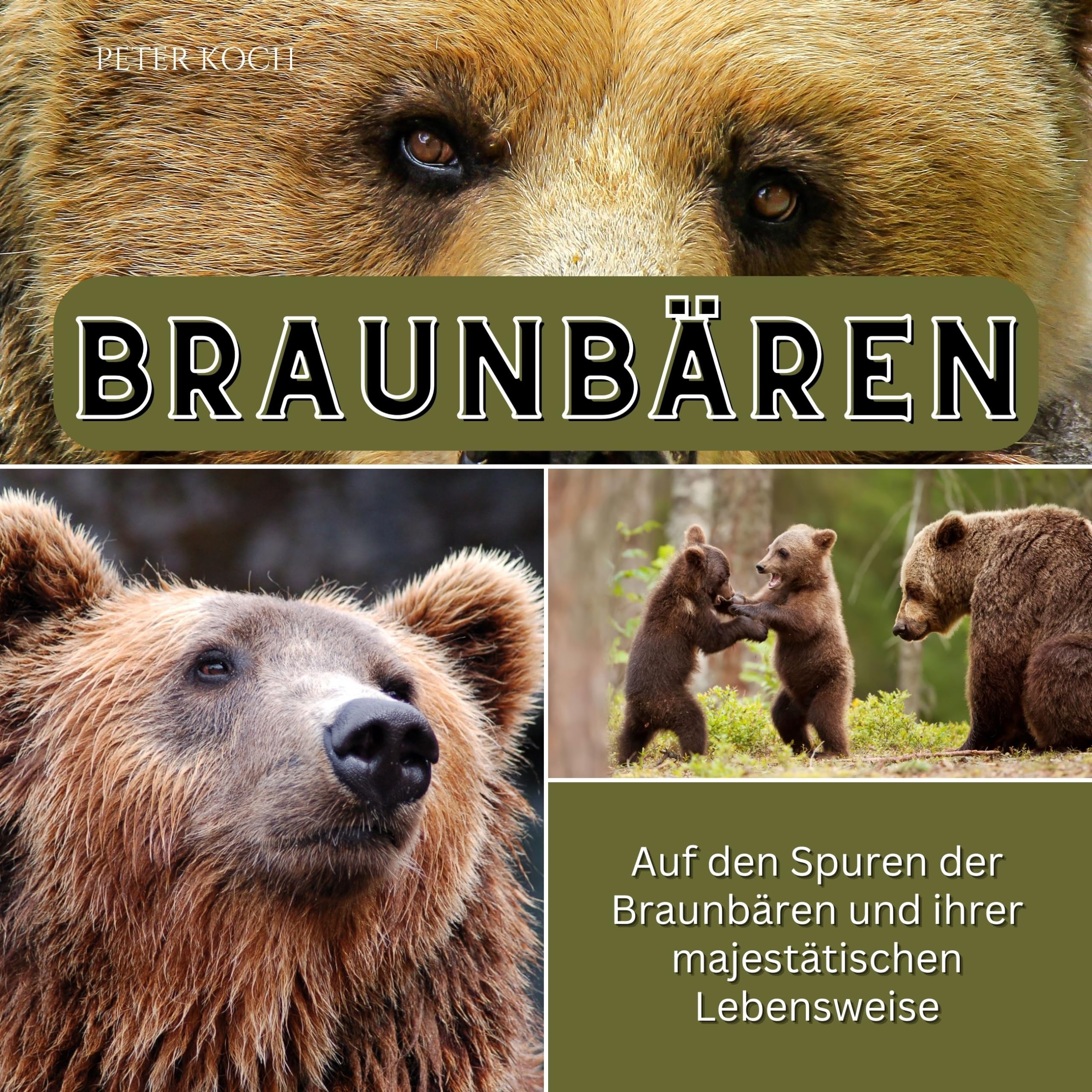 Braunbären: Auf den Spuren der Braunbären und ihrer majestätischen Lebensweise Photography