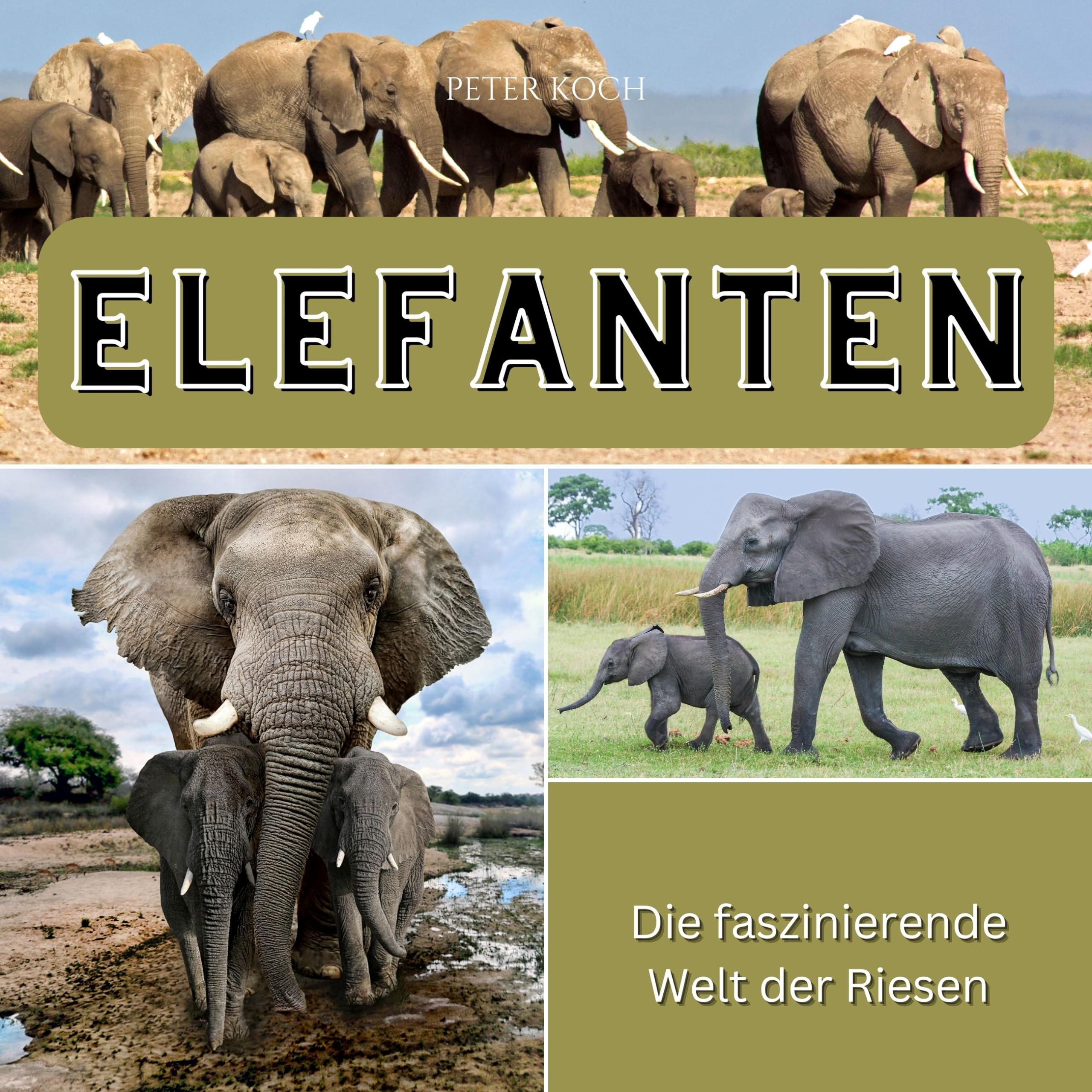Elefanten: Die faszinierende Welt der Riesen Memories