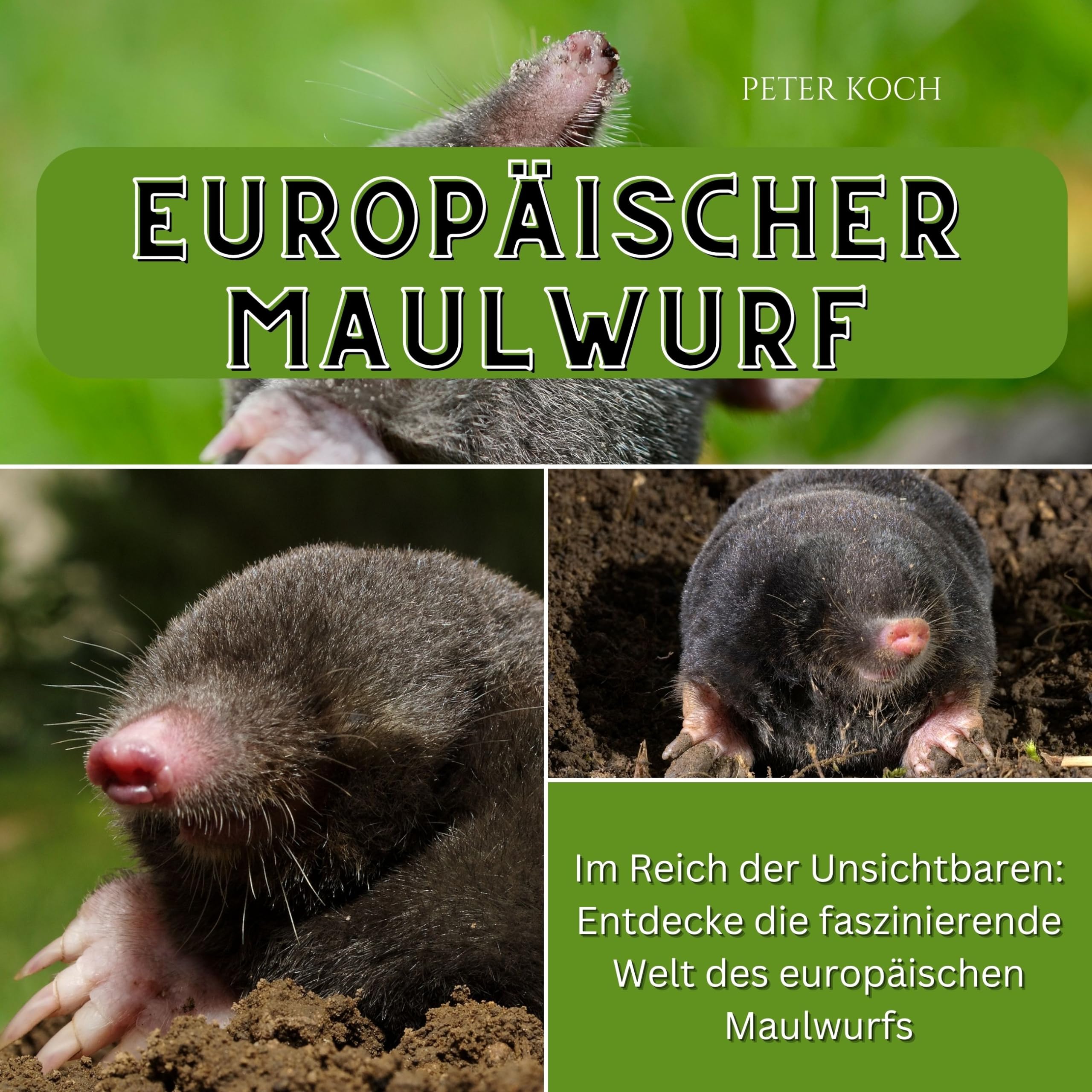 Europäischer Maulwurf: Im Reich der Unsichtbaren: Entdecke die faszinierende Welt des europäischen Maulwurfs Memories