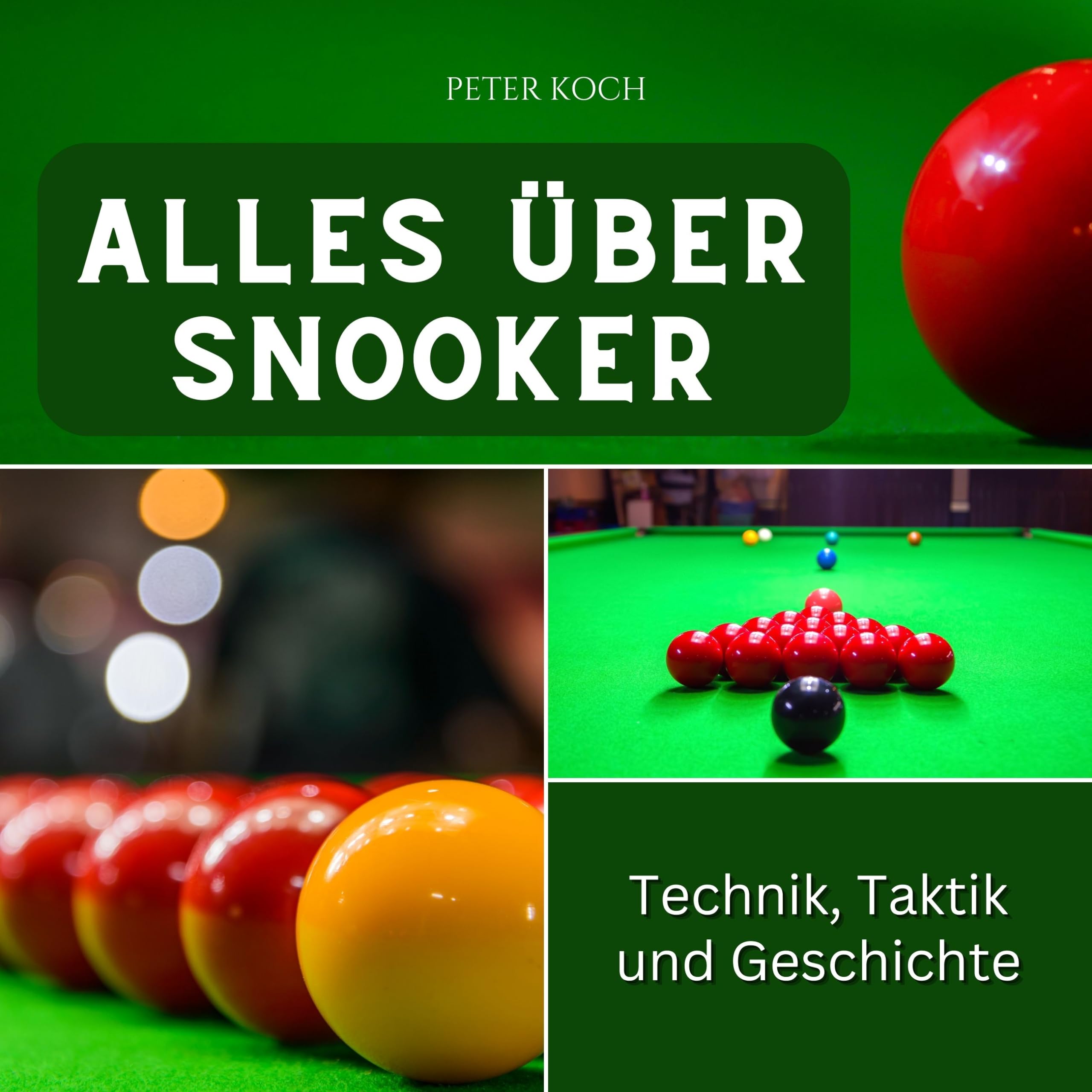 Alles über Snooker: Technik, Taktik und Geschichte book