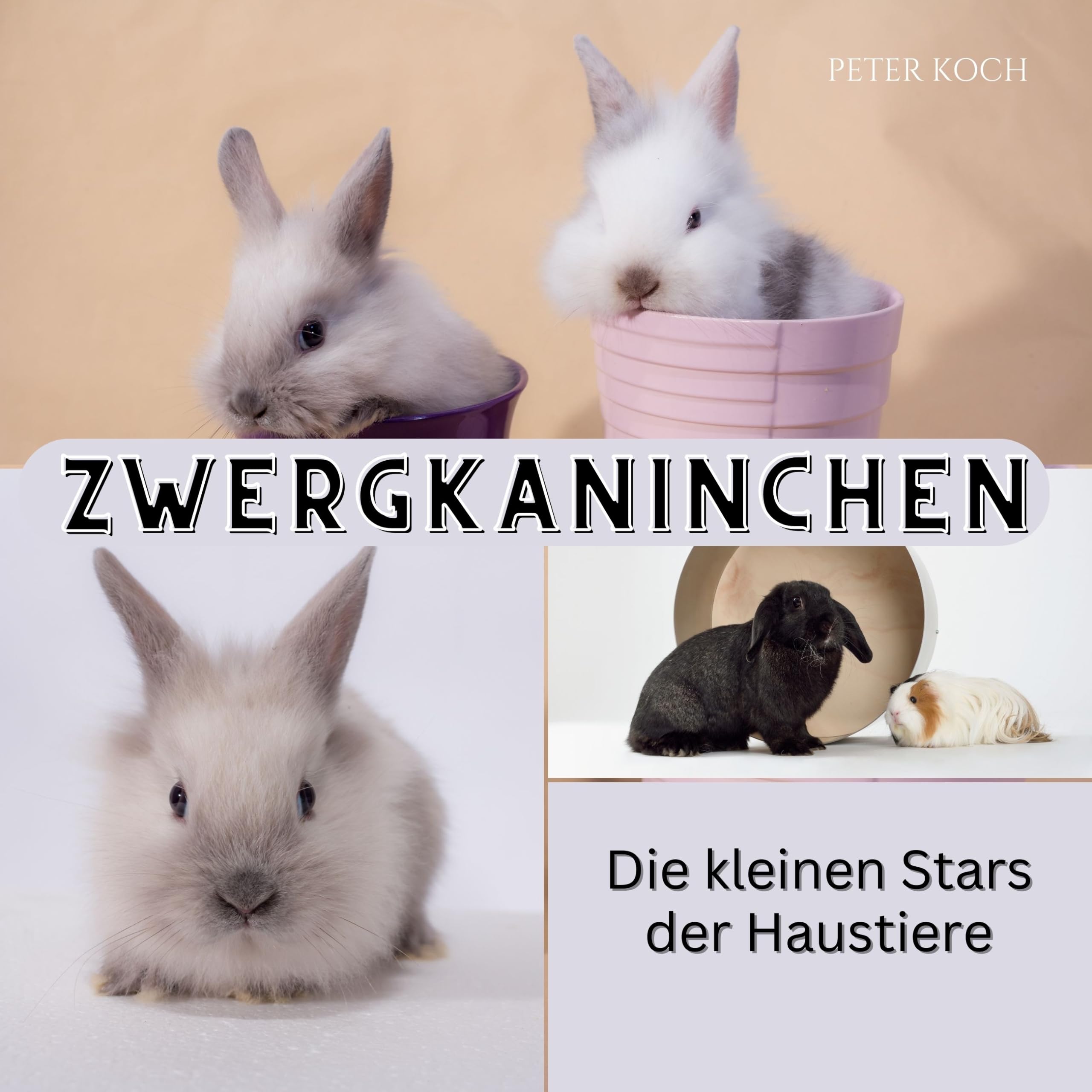 Zwergkaninchen: Die kleinen Stars der Haustiere Photography