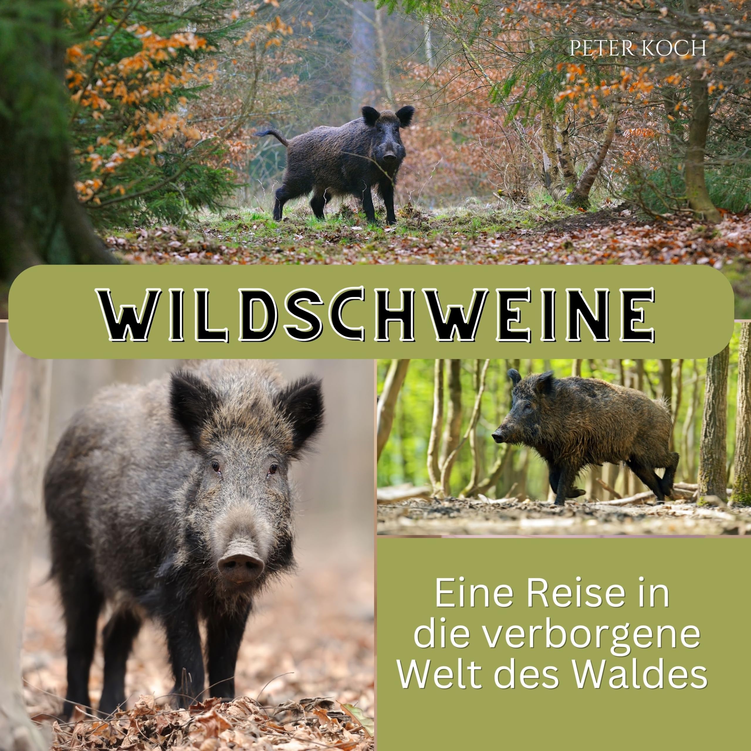 Wildschweine: Eine Reise in die verborgene Welt des Waldes Photography