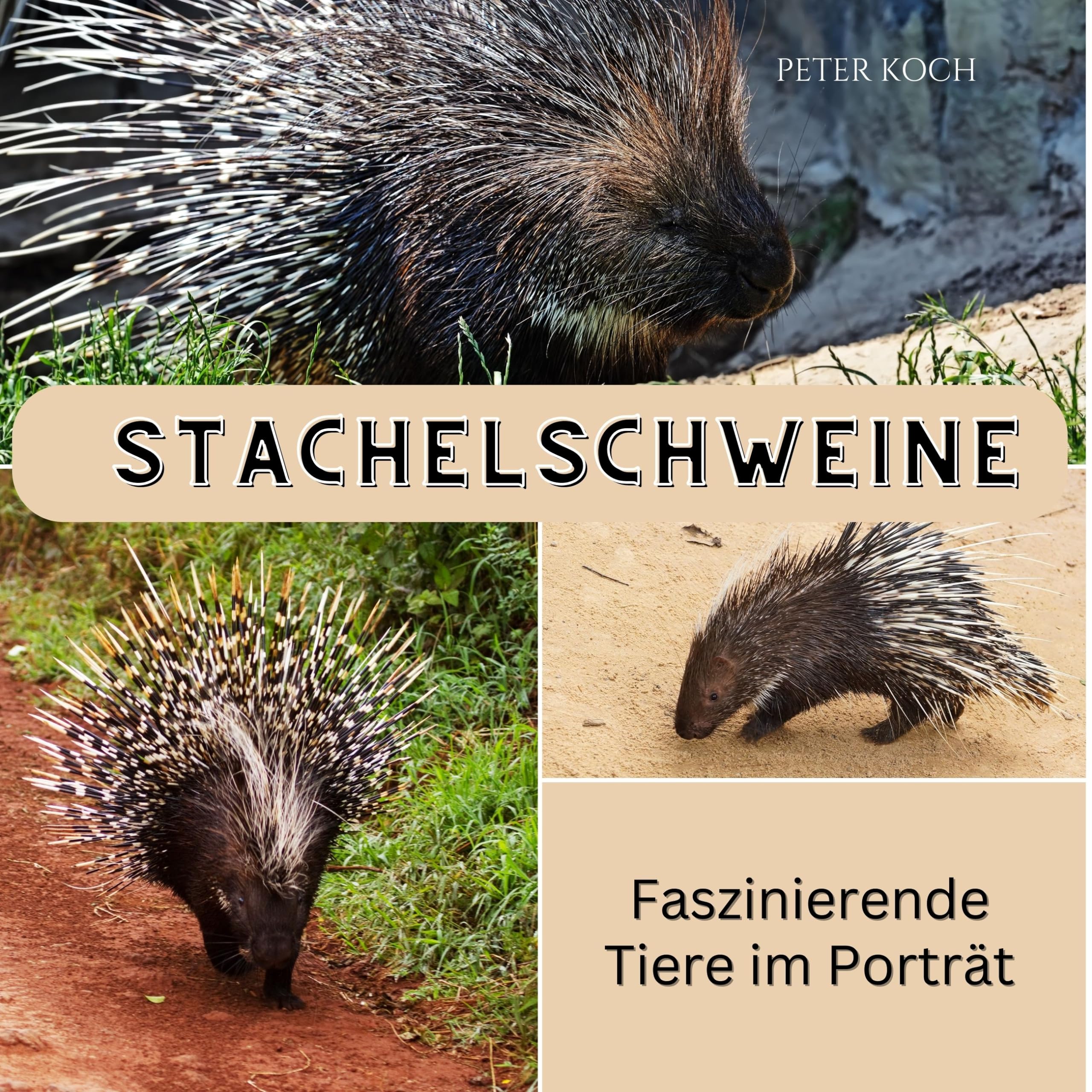 Stachelschweine: Faszinierende Tiere im Porträt Photography