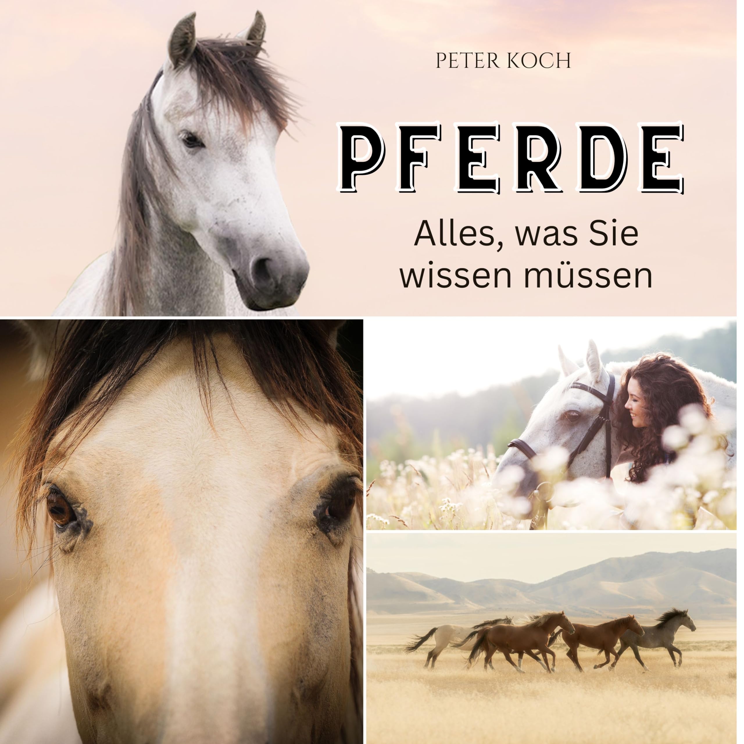 Pferde: Alles, was Sie wissen müssen Photography