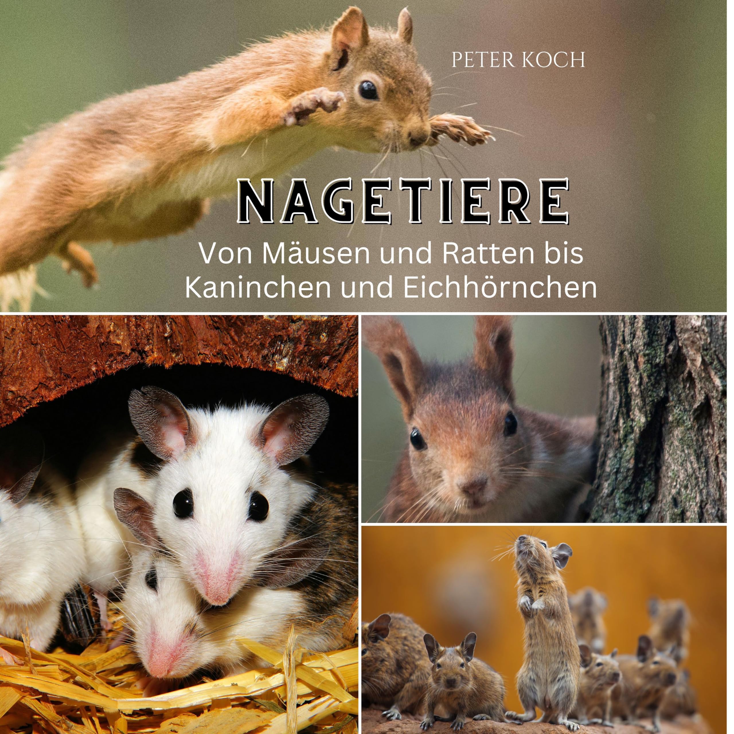 Nagetiere: Von Mäusen und Ratten bis Kaninchen und Eichhörnchen Photography