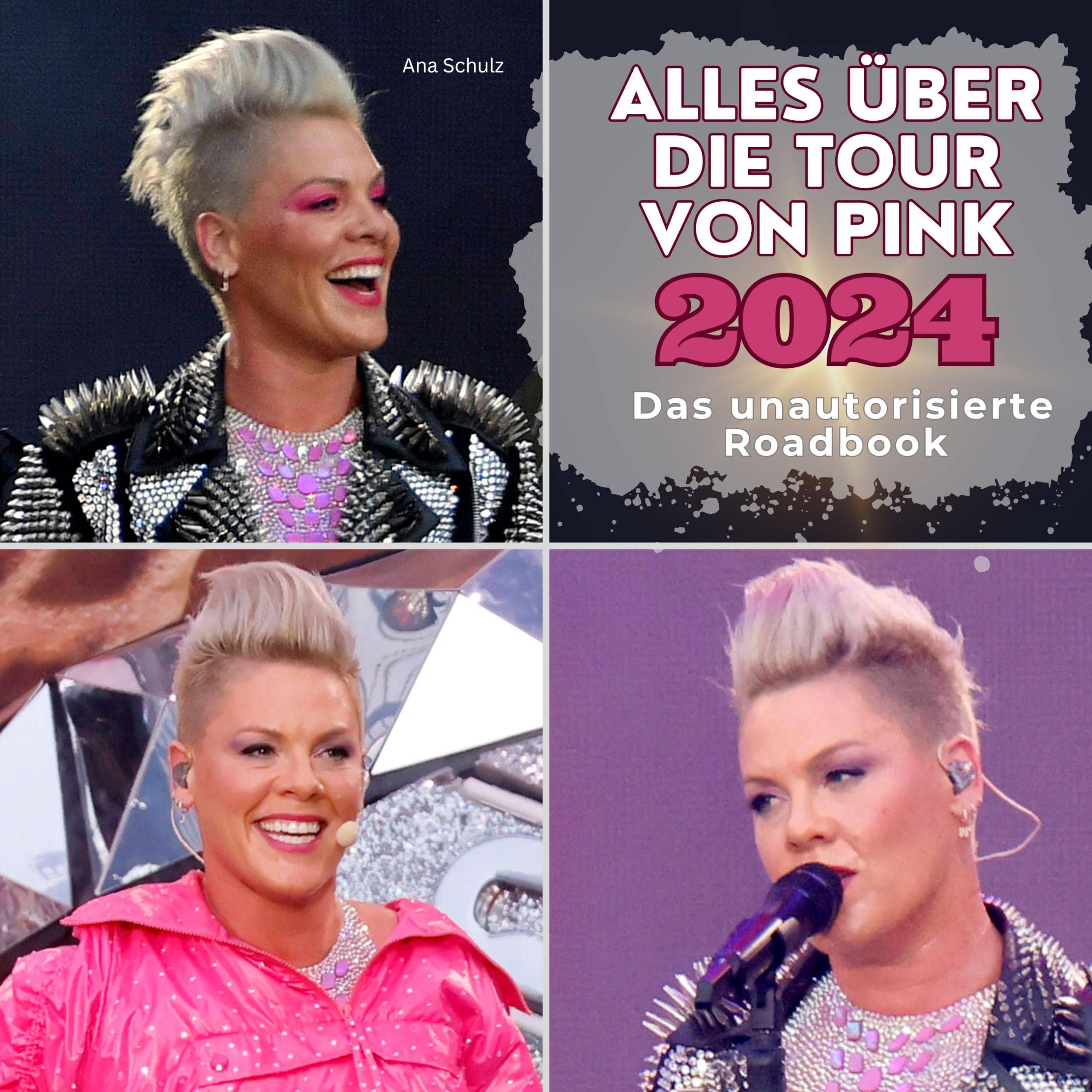 Alles über die Tour von Pink 2024: Das unautorisierte Roadbook Art & Literature
