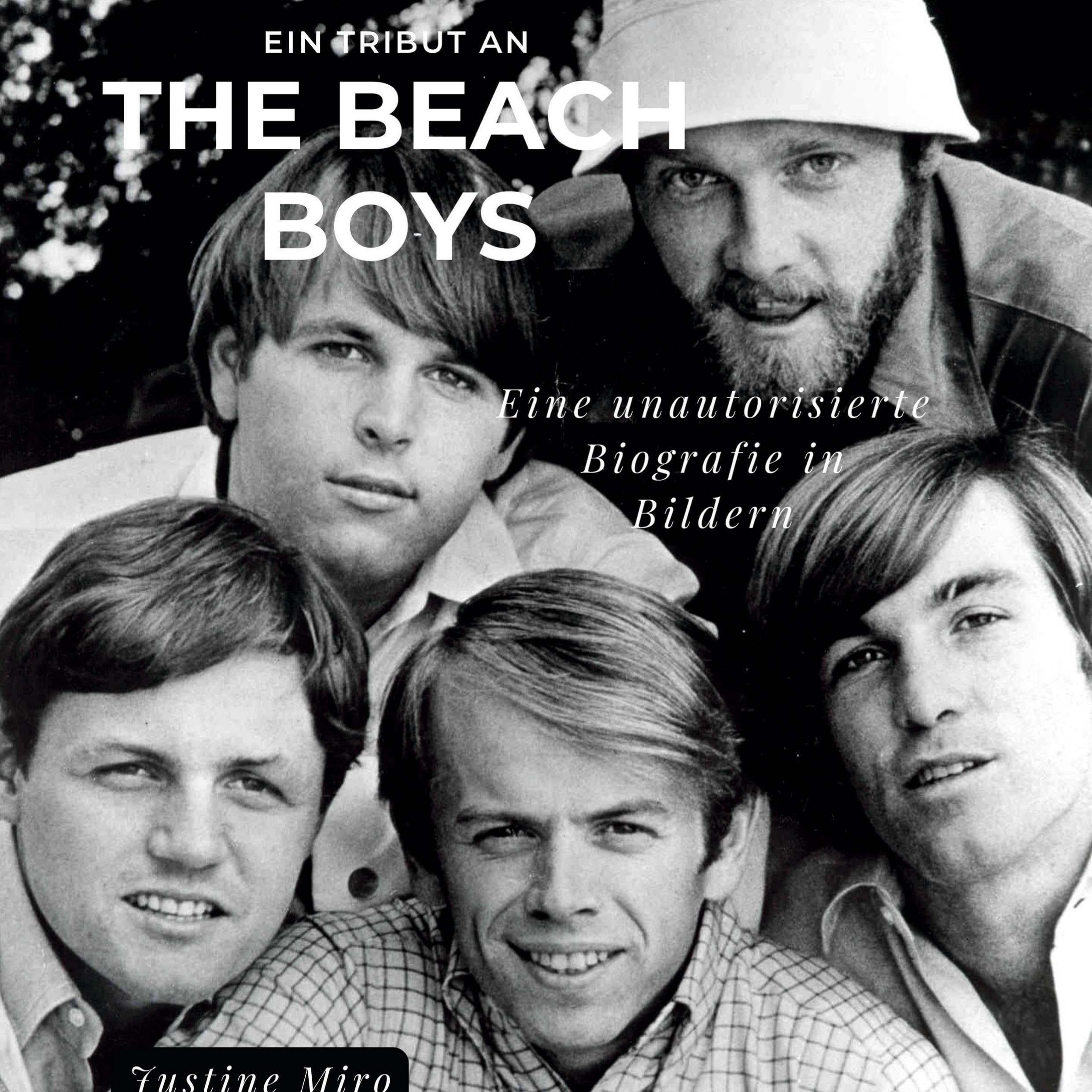 Product Image: Ein Tribut an <br> The Beach Boys