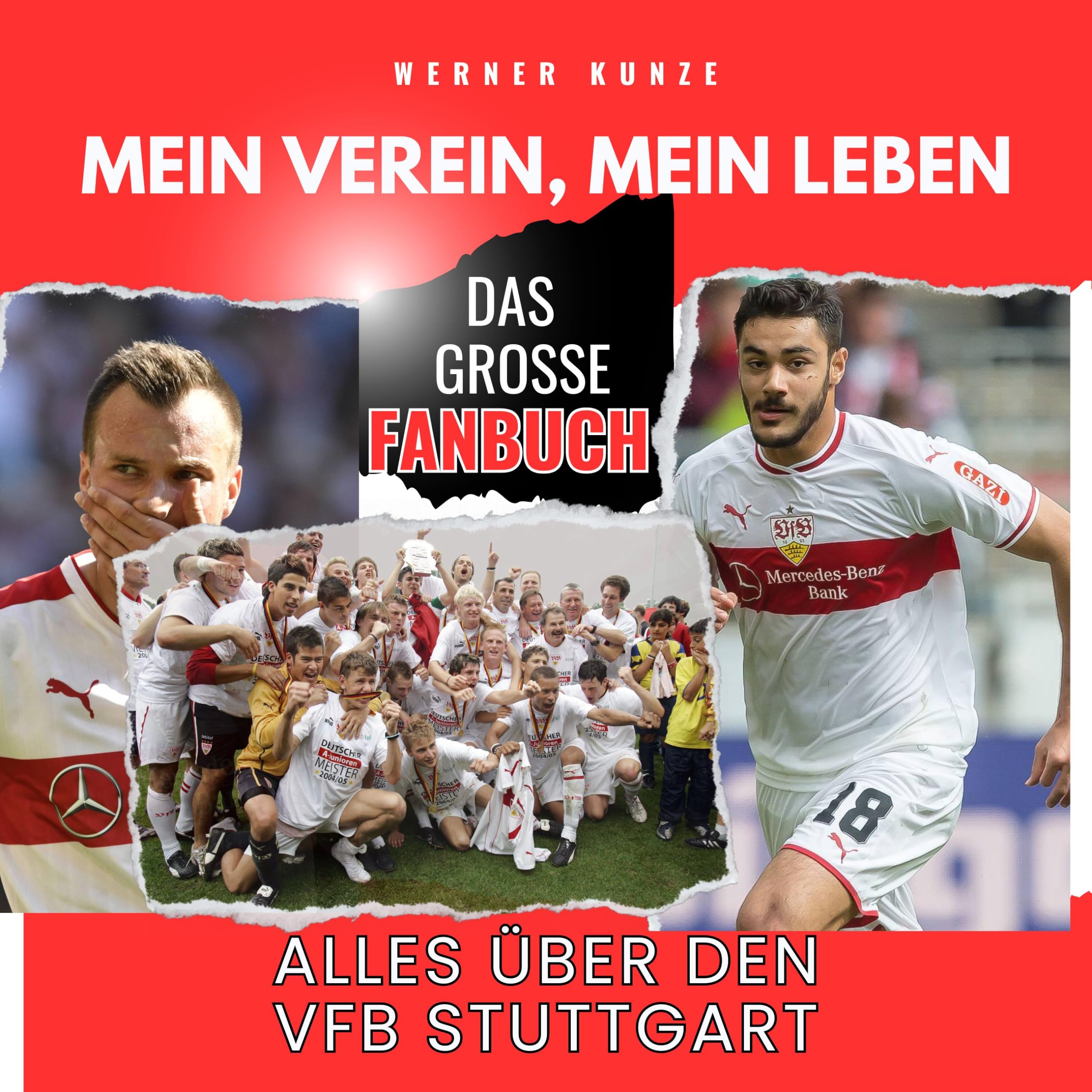 Mein Verein, mein Leben: Alles über den VFB Stuttgart - das große Fanbuch Art & Literature