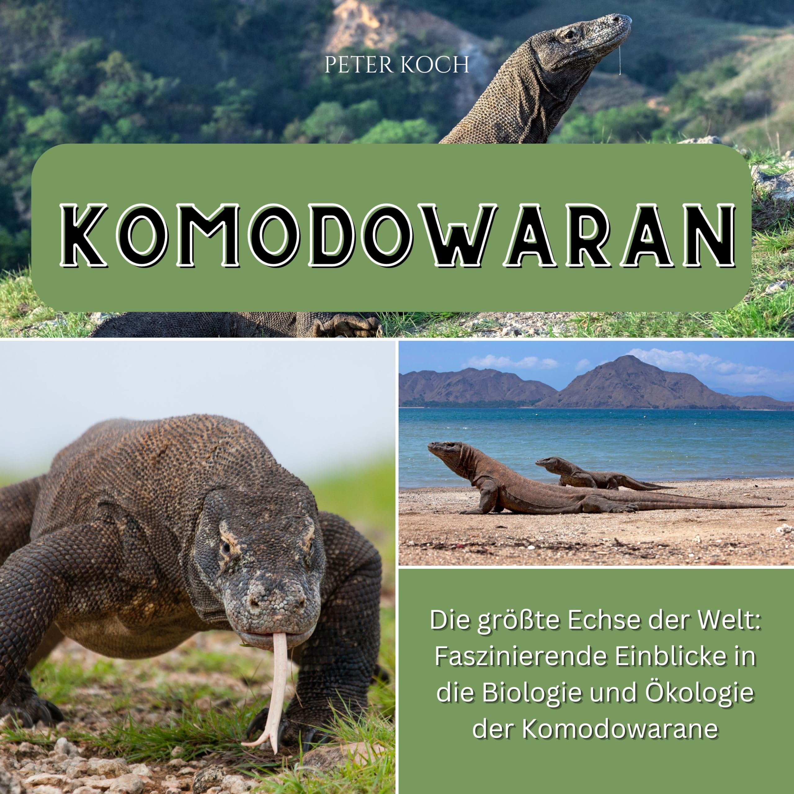 Komodowaran: Die größte Echse der Welt: Faszinierende Einblicke in die Biologie und Ökologie der Komodowarane Photography