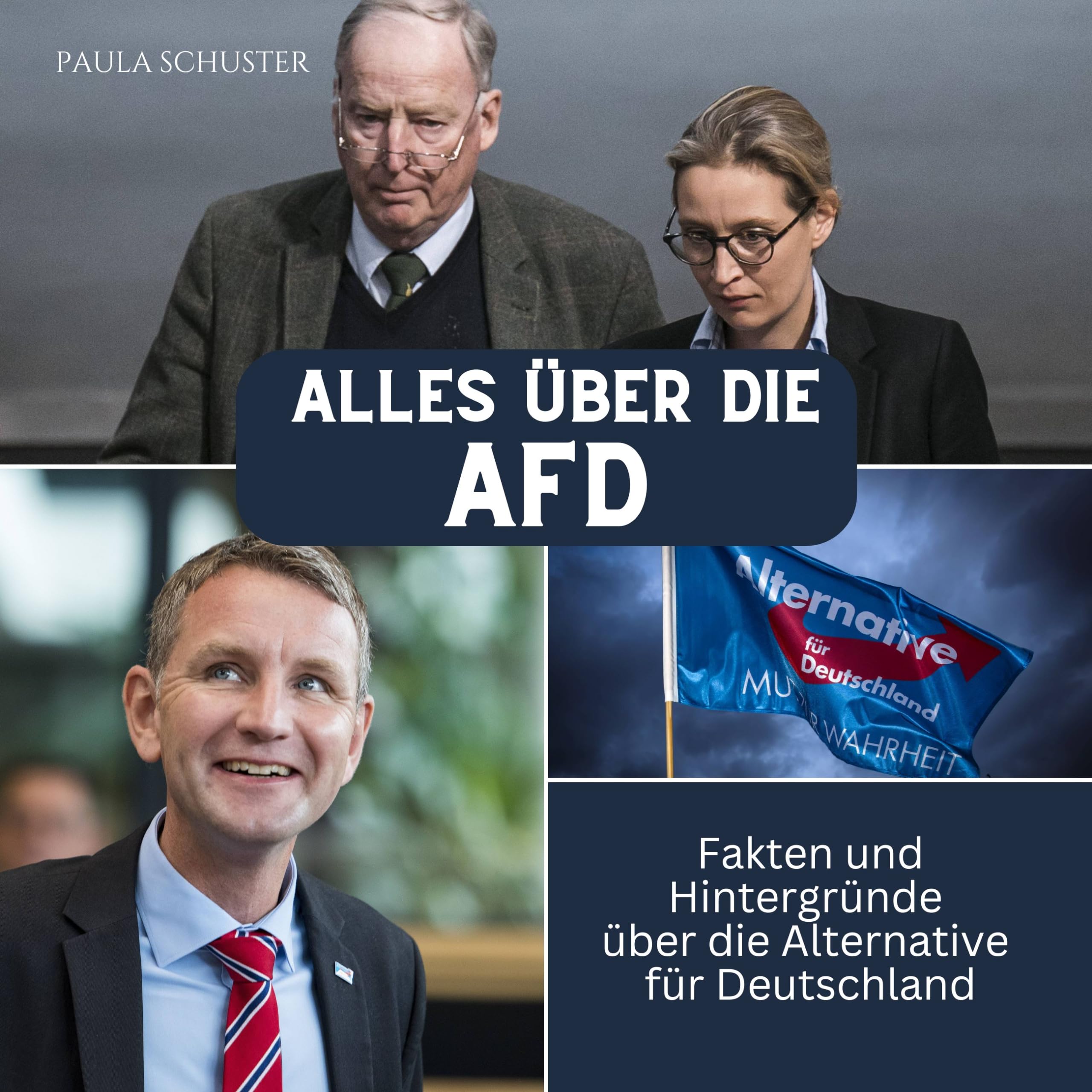 Alles über die AfD: Fakten und Hintergründe über die Alternative für Deutschland Biographies & Memoirs