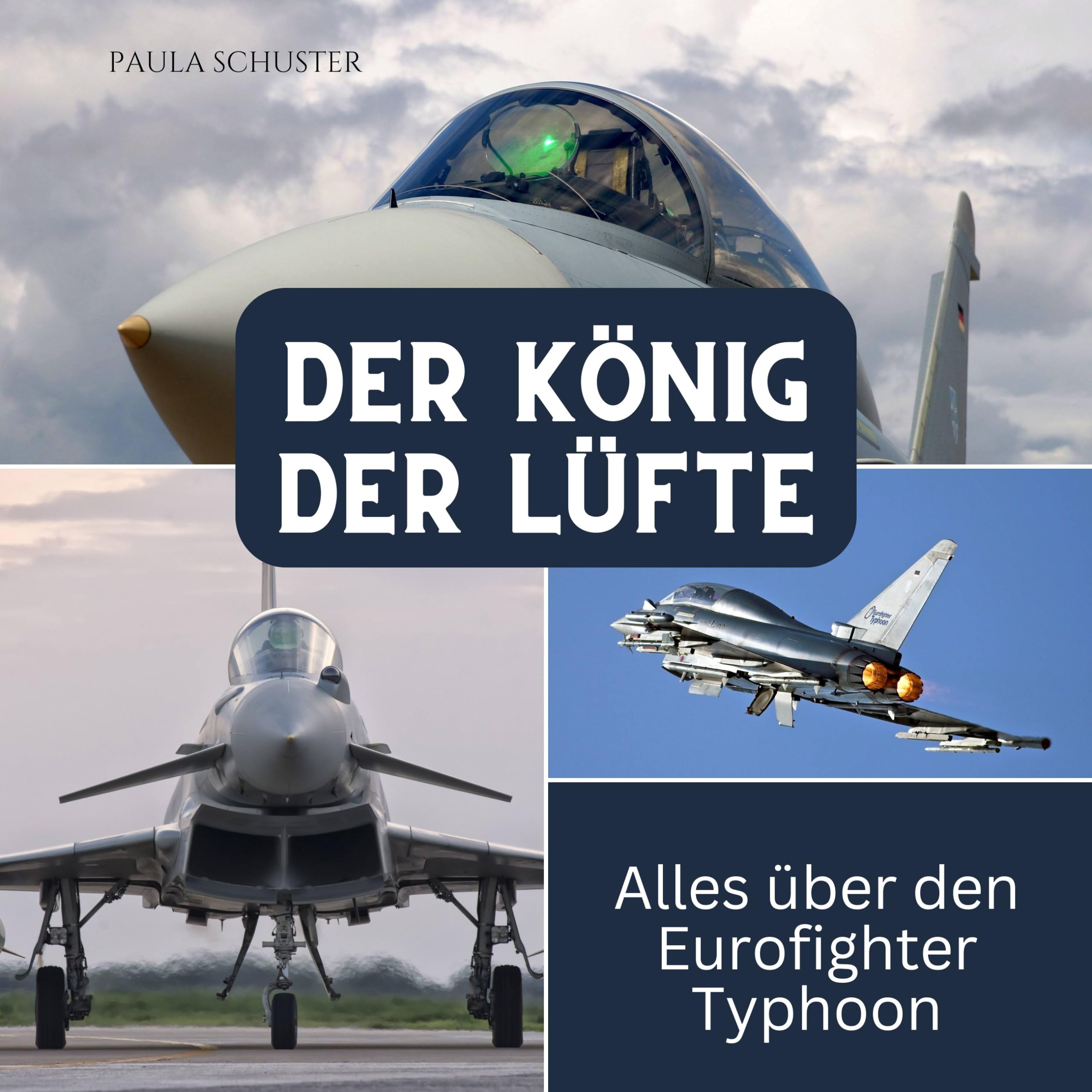 Der König der Lüfte: Alles über den Eurofighter Typhoon Science