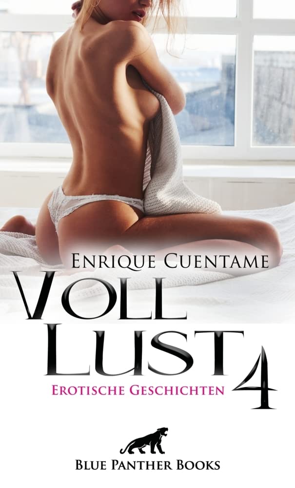 VollLust 4 | Erotische Geschichten book