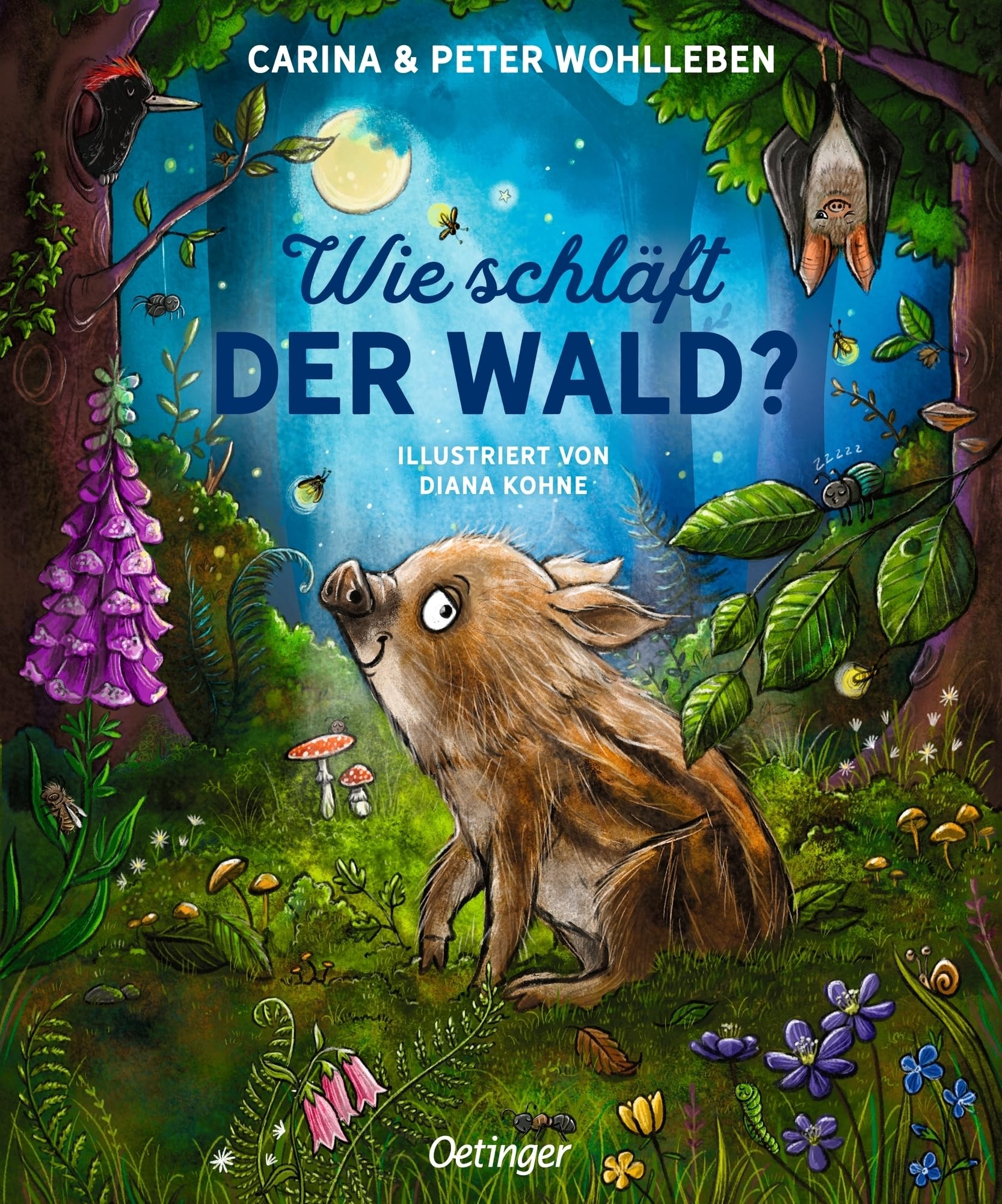 Product Image: Wie schläft der Wald?