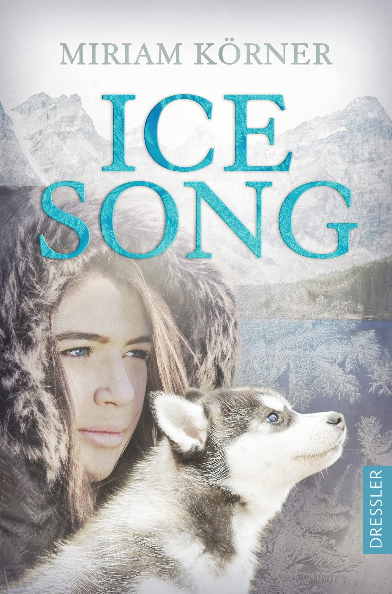 Ice Song Business & Technology Books