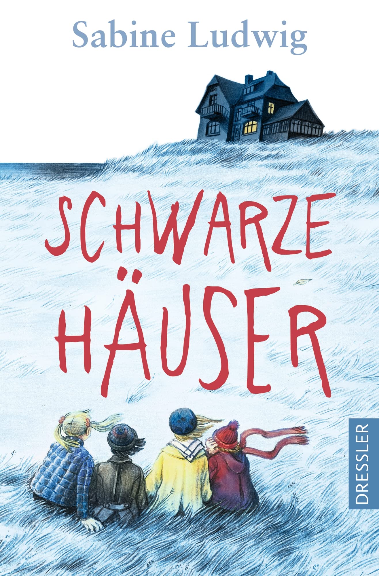 Schwarze Häuser Politics & History