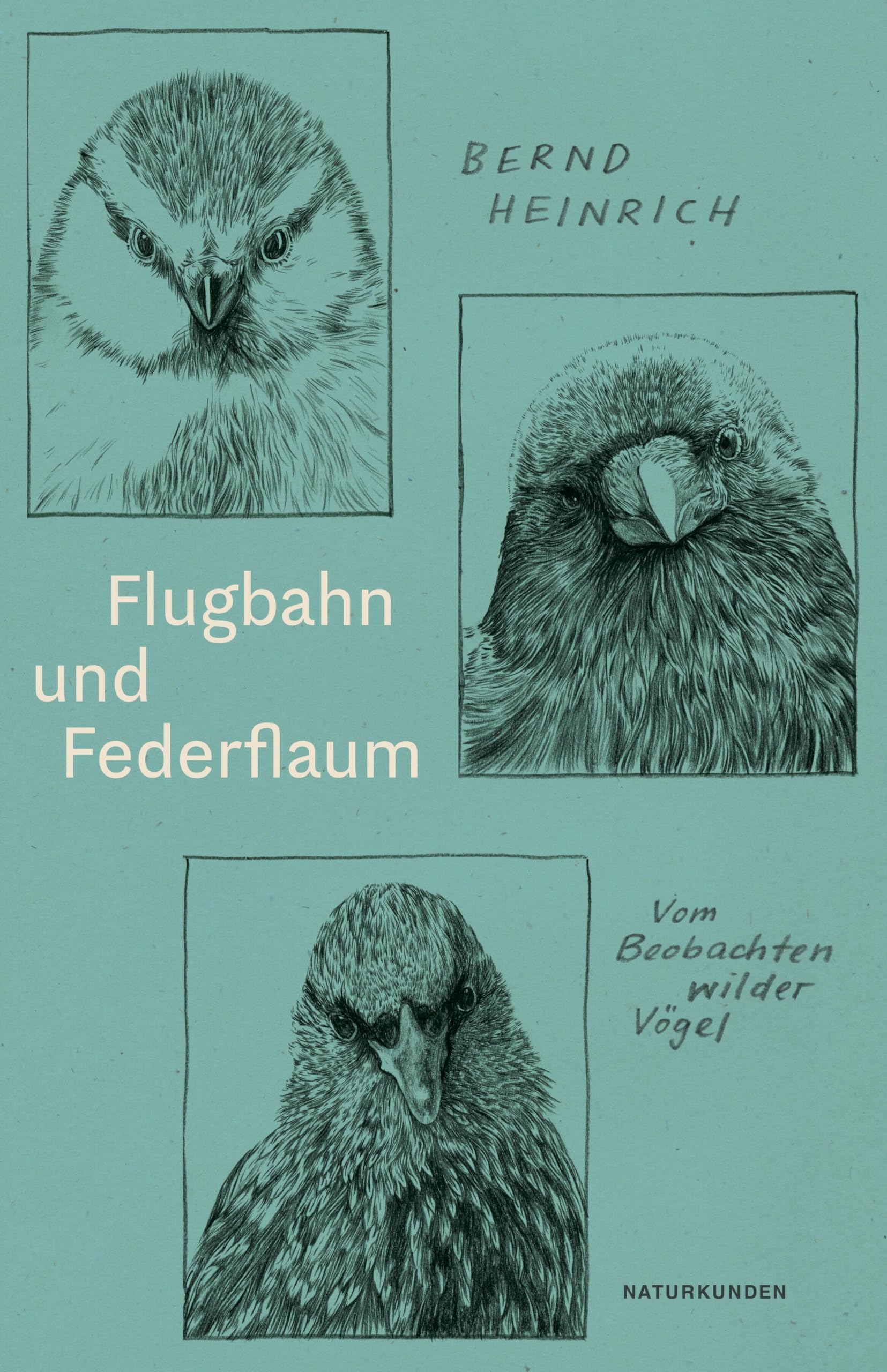 Flugbahn und Federflaum Contemporary literature