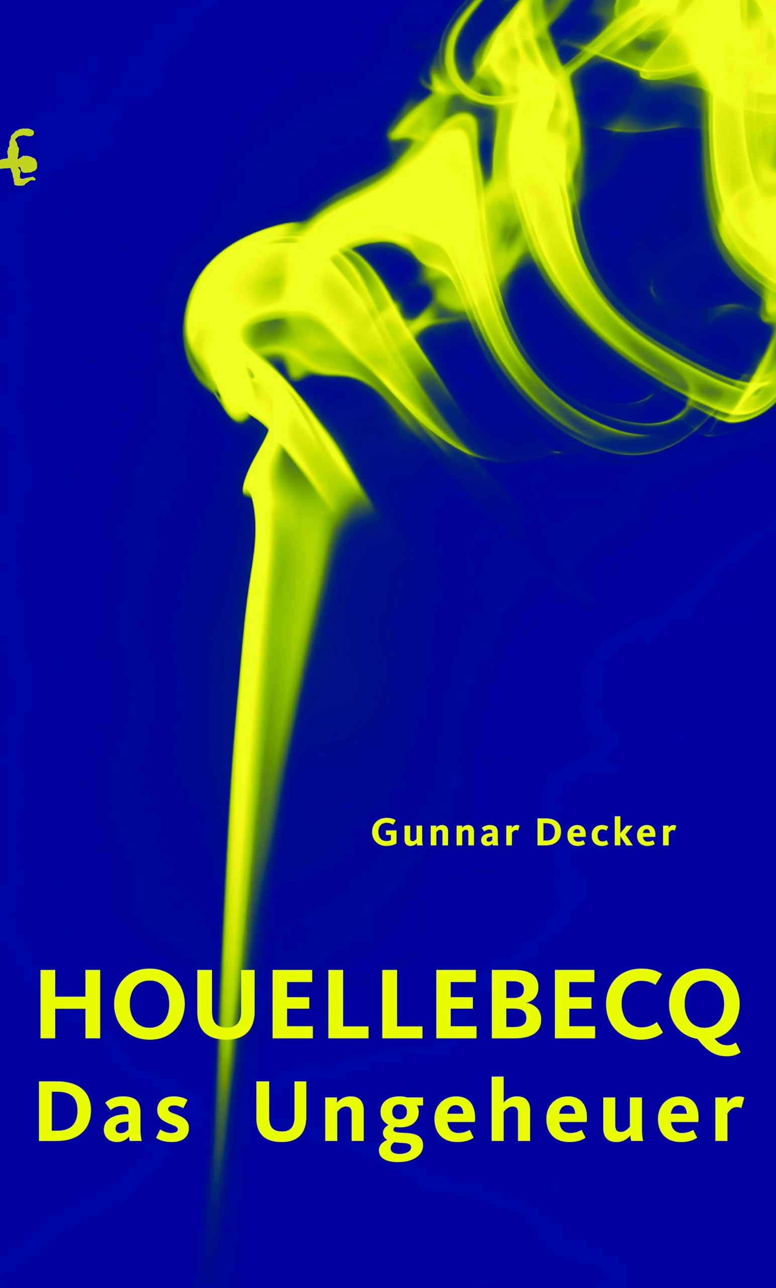 Houellebecq, das Ungeheuer Art & Literature
