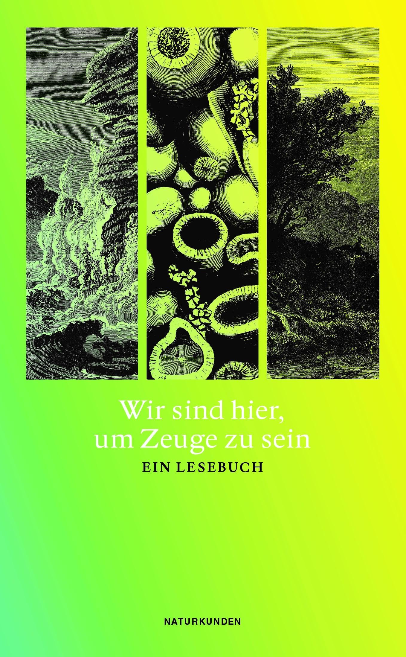 Wir sind hier, um Zeuge zu sein Contemporary literature