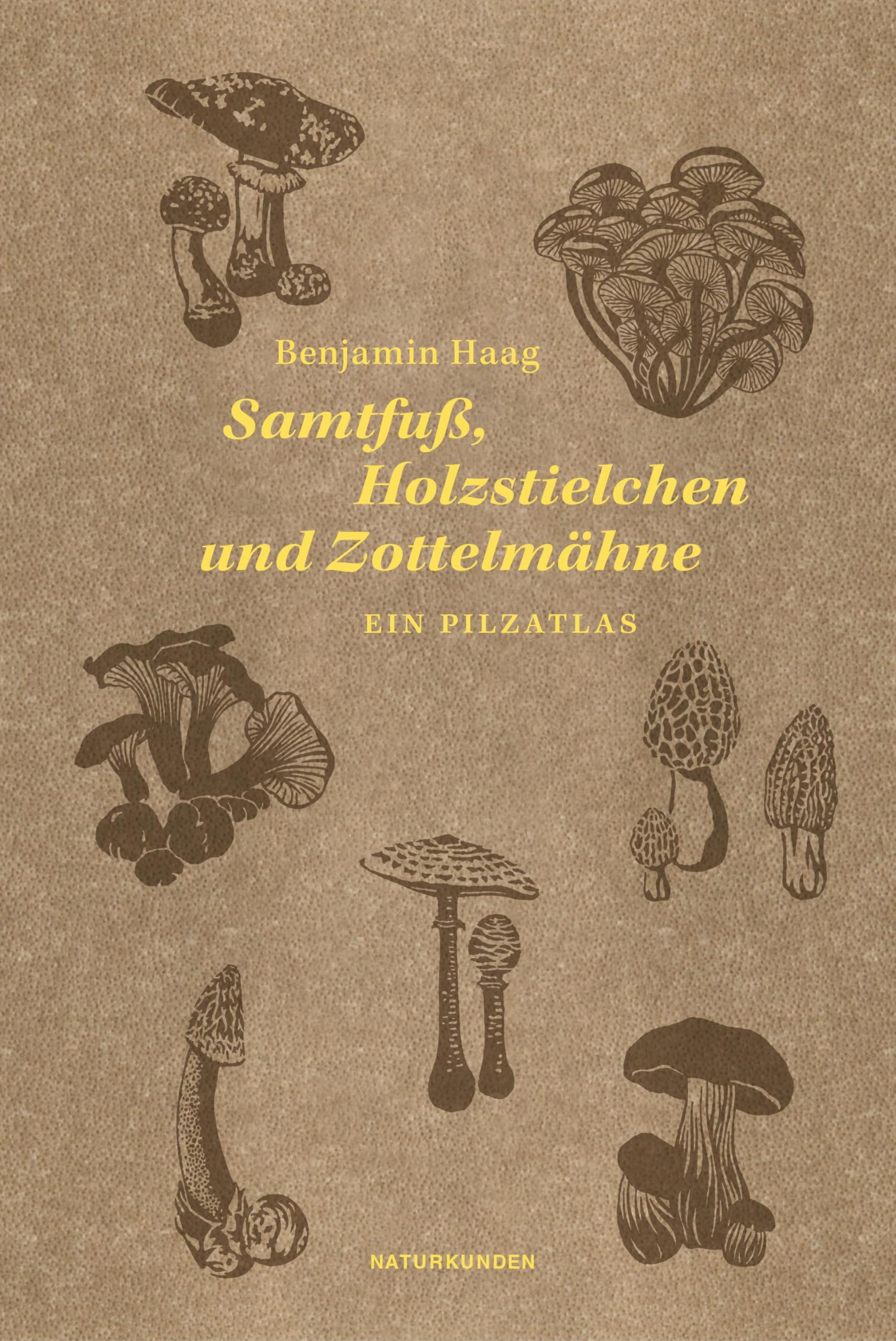 Samtfuß, Holzstielchen und Zottelmähne: Ein Pilzatlas (Naturkunden) Leisure, Home & Garden
