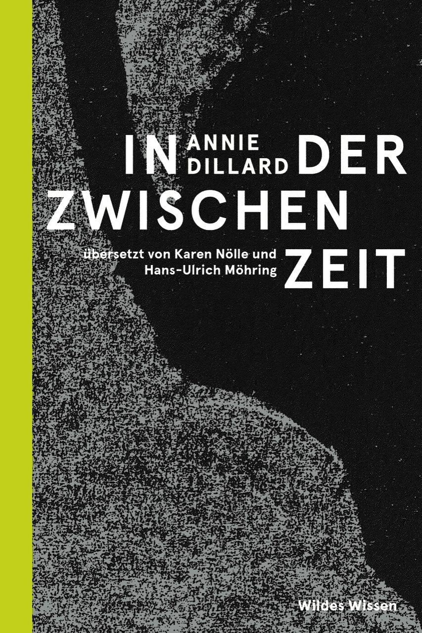 In der Zwischenzeit Contemporary literature Books