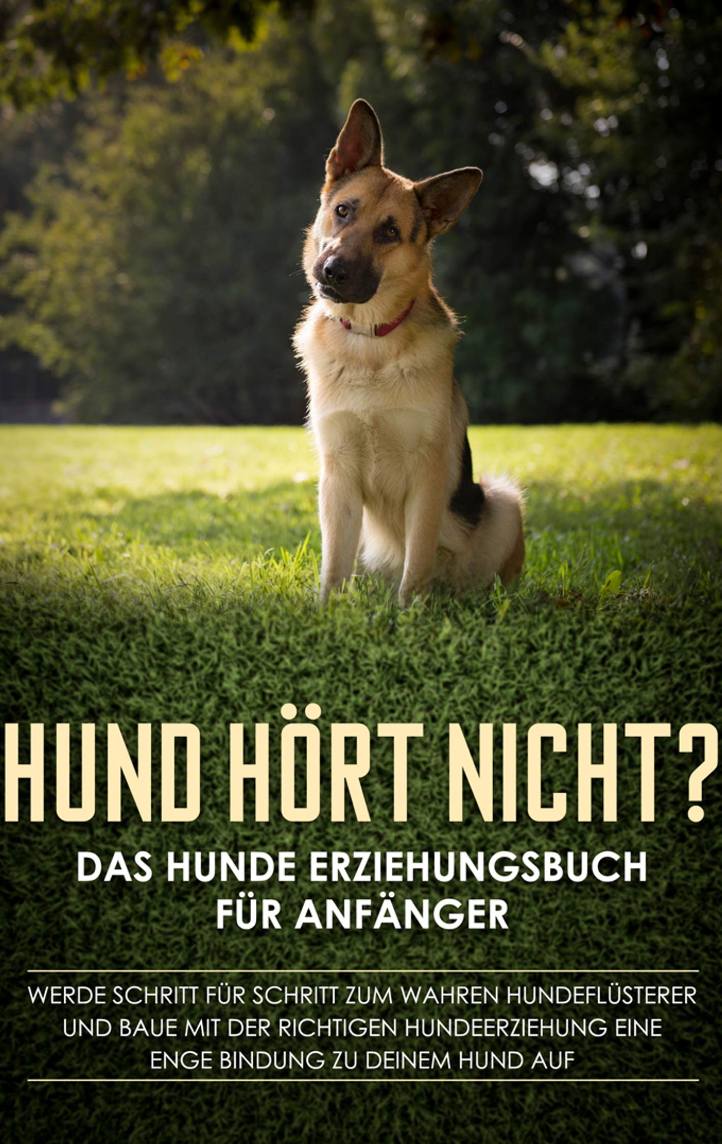Hund hört nicht? Das Hunde Erziehungsbuch für Anfänger: Werde Schritt für Schritt zum wahren Hundeflüsterer und baue mit der richtigen Hundeerziehung eine enge Bindung zu deinem Hund auf Pets