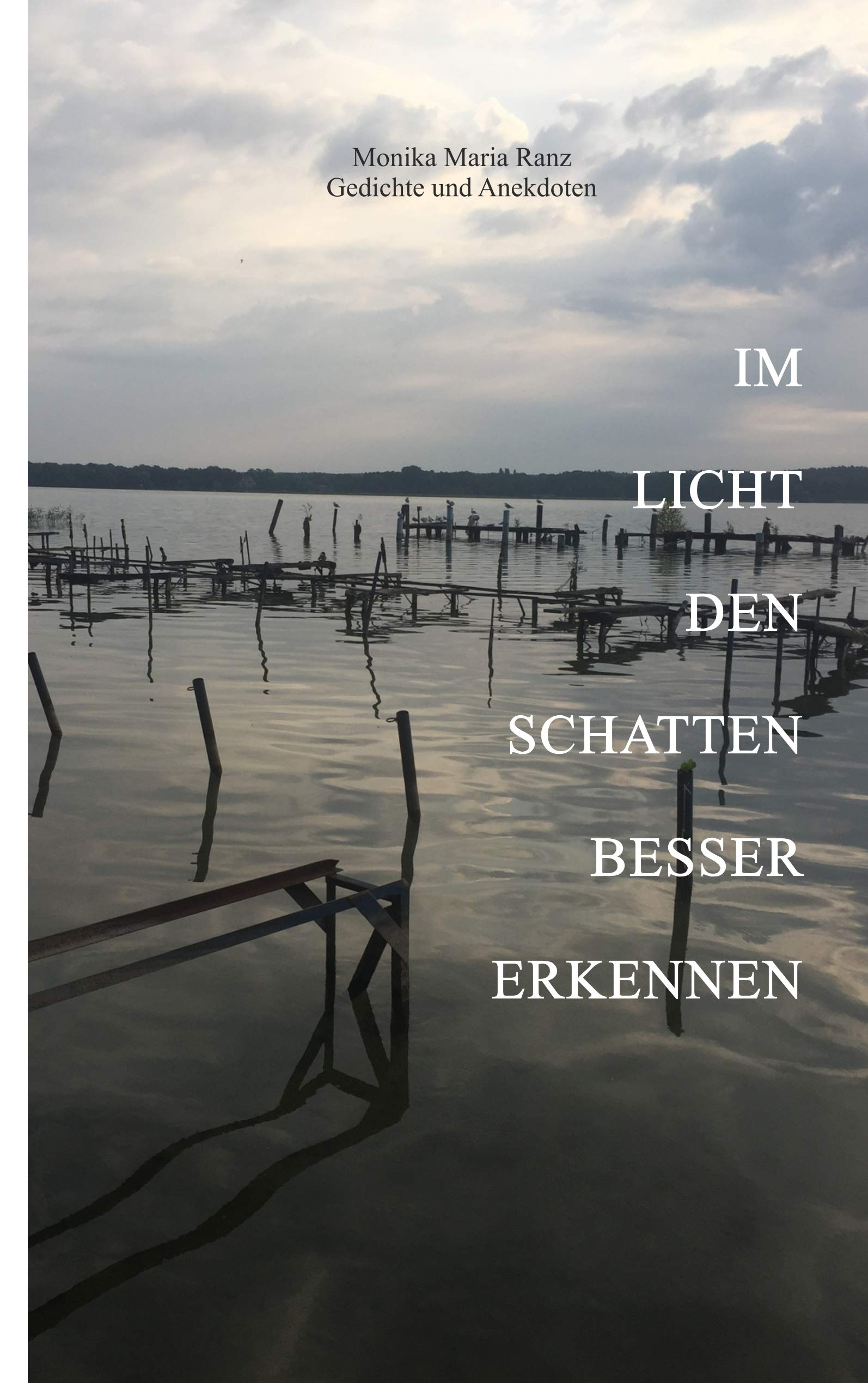 Im Licht den Schatten besser erkennen Poetry
